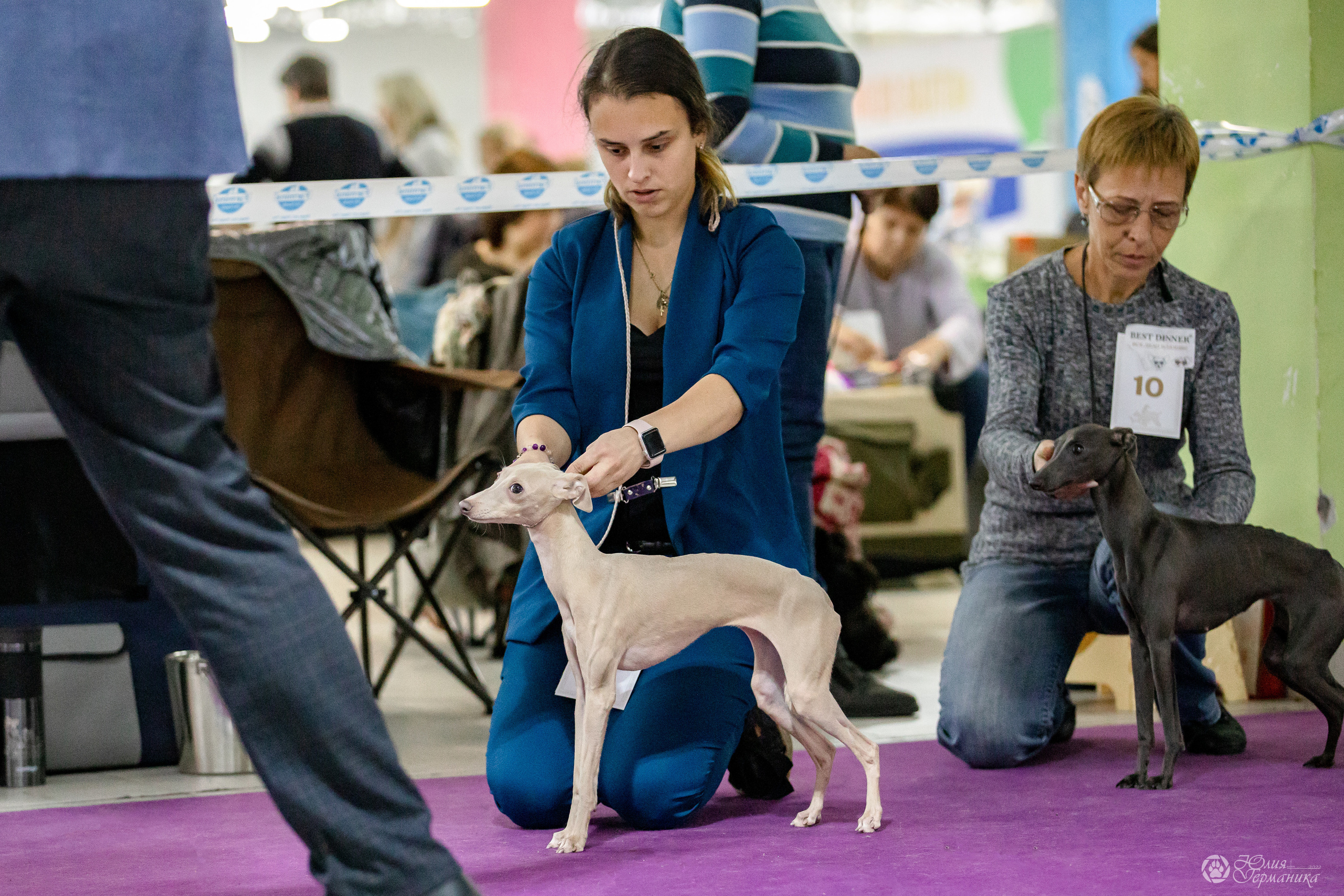 Чайна-Таун 29-30.10.2022. Фотограф-анималист Юлия Германика