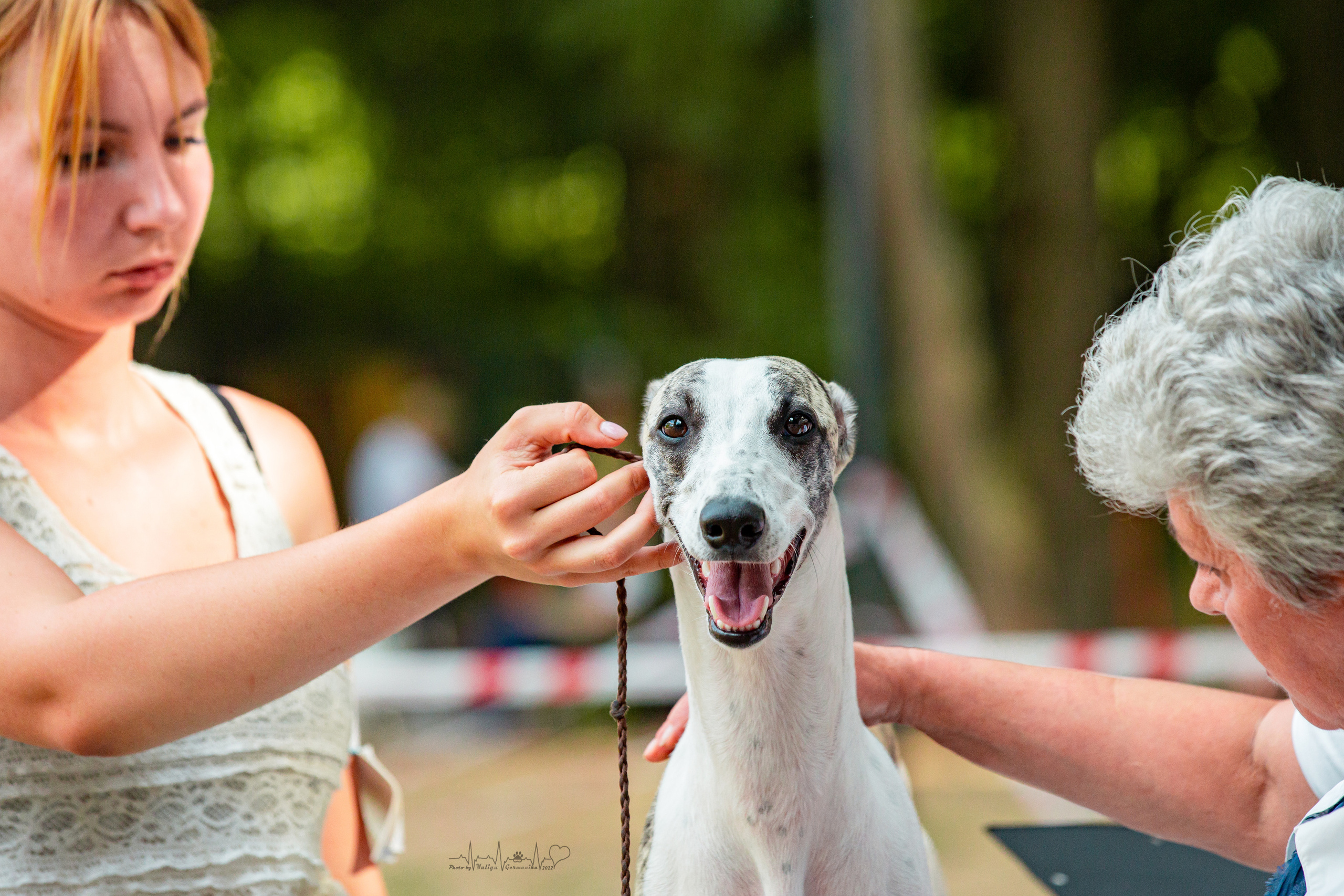 Ховрино фестиваль монопородок 14.08.2022. Фотограф-анималист Юлия Германика