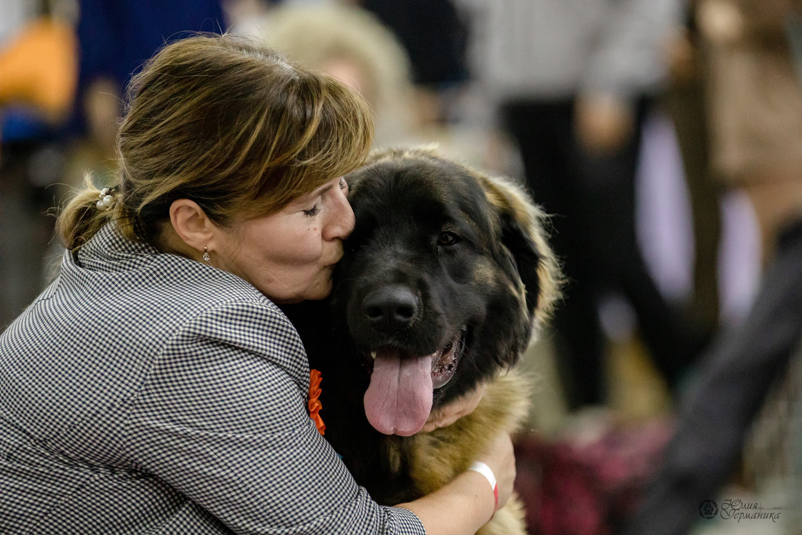 Чайна-Таун 29-30.10.2022. Фотограф-анималист Юлия Германика