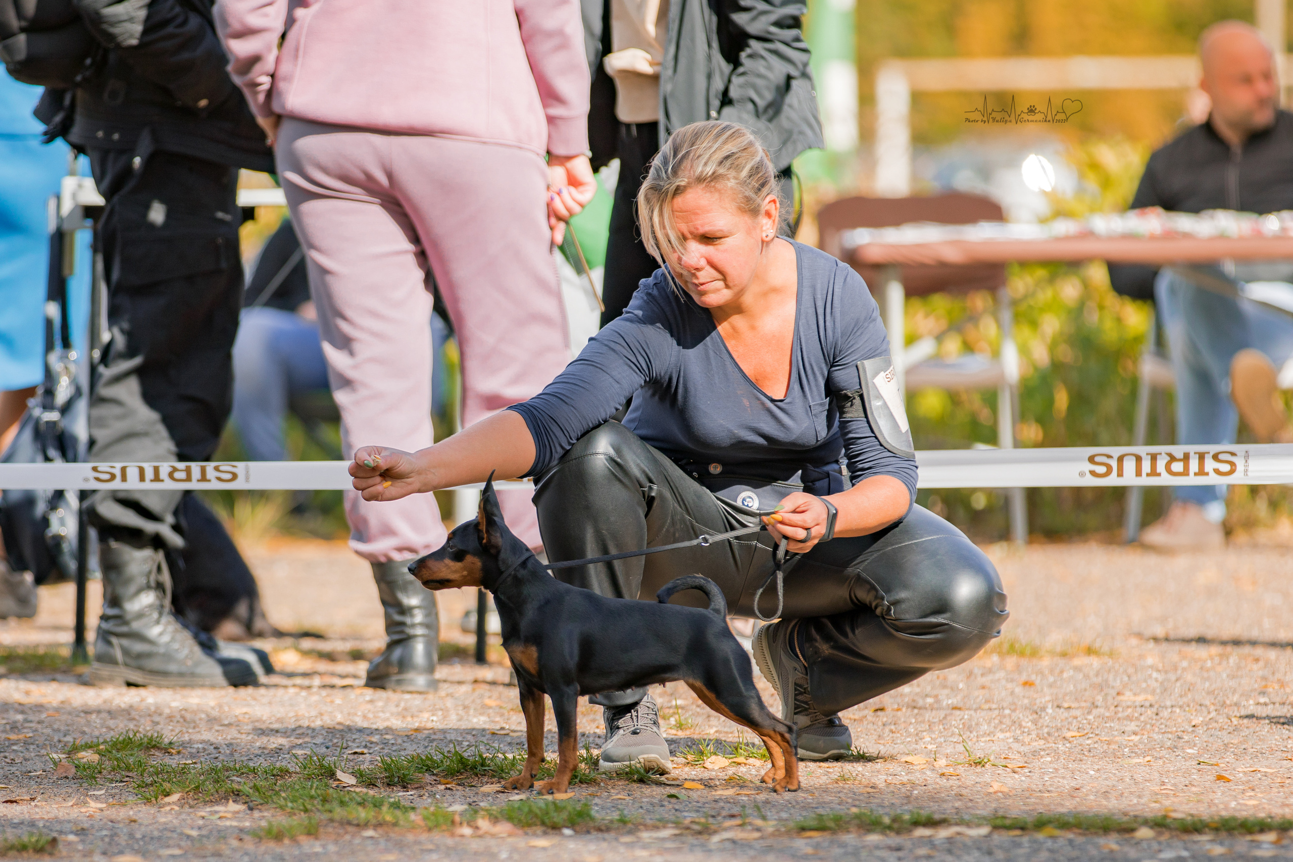 Тверь ЧРКФ 18.09.2022. Фотограф-анималист Юлия Германика