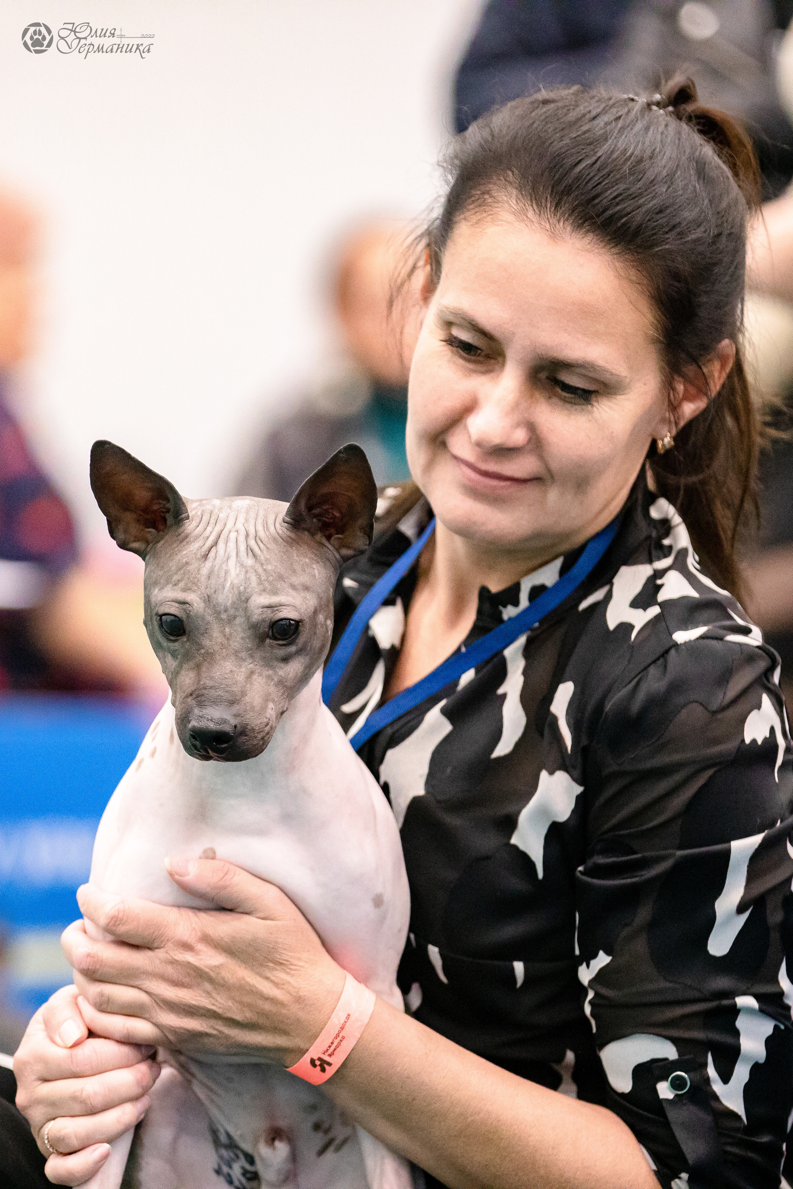 Нижний Новгород 15-16.10.2022. Фотограф-анималист Юлия Германика