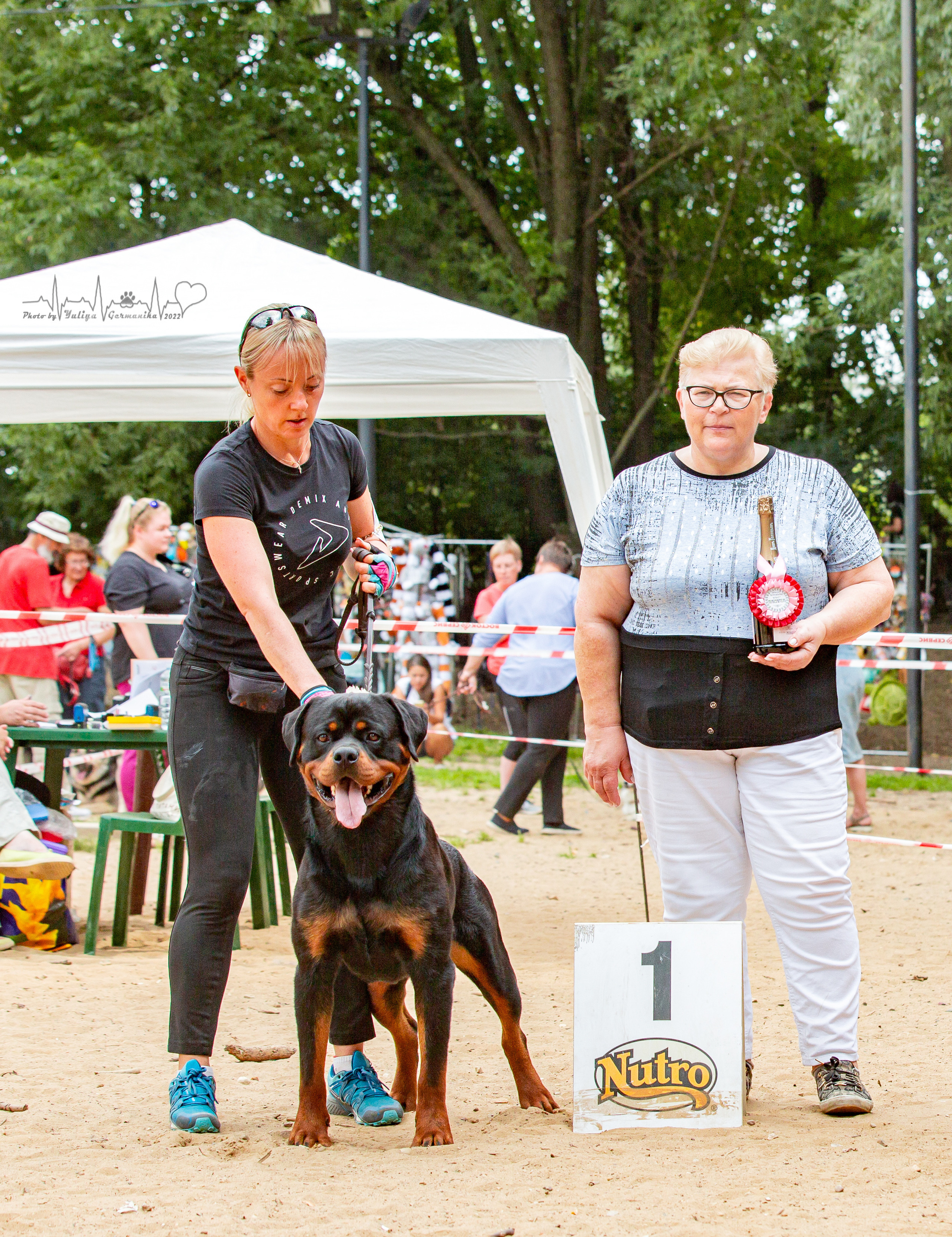 Ховрино фестиваль монопородок 14.08.2022. Фотограф-анималист Юлия Германика