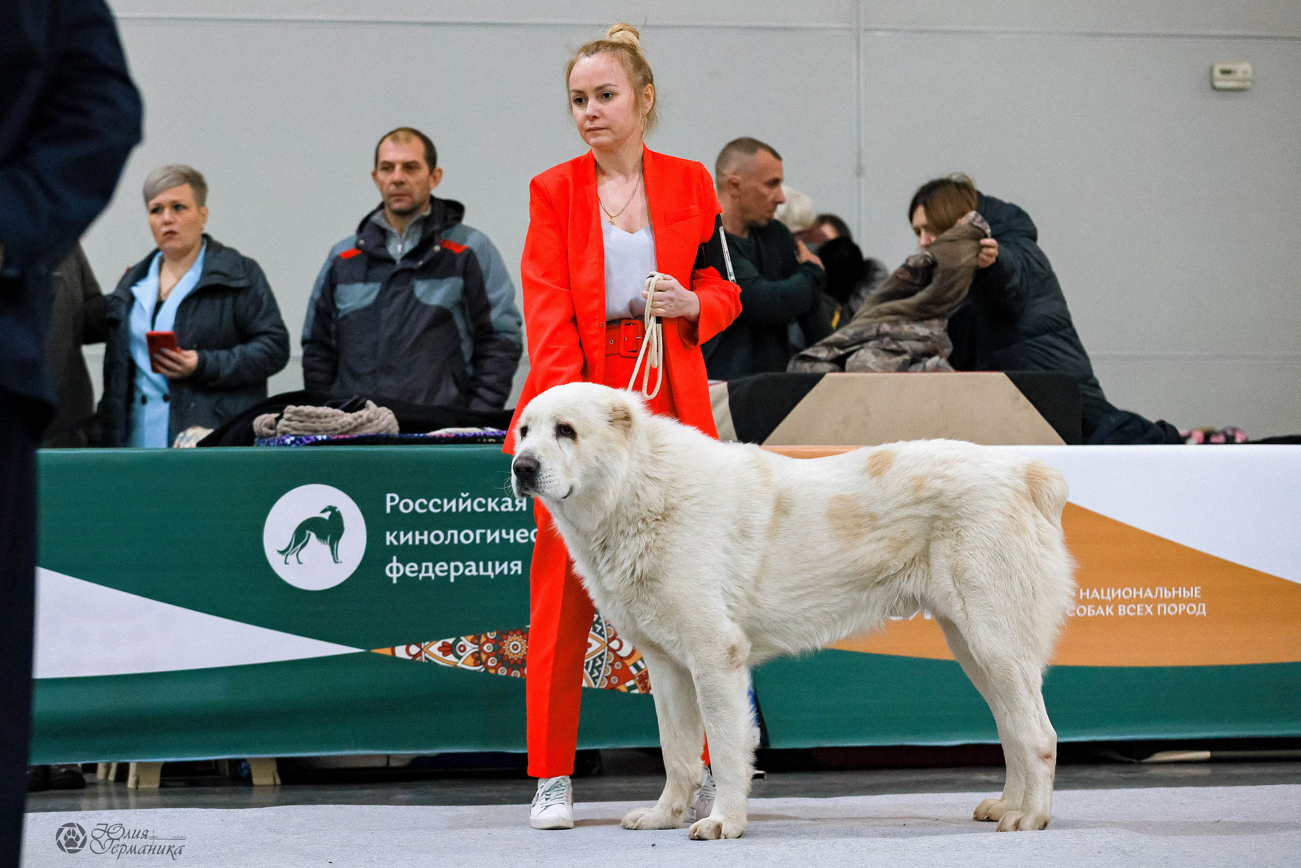 Россия 2020-2022 26-27.11.2022. Фотограф-анималист Юлия Германика