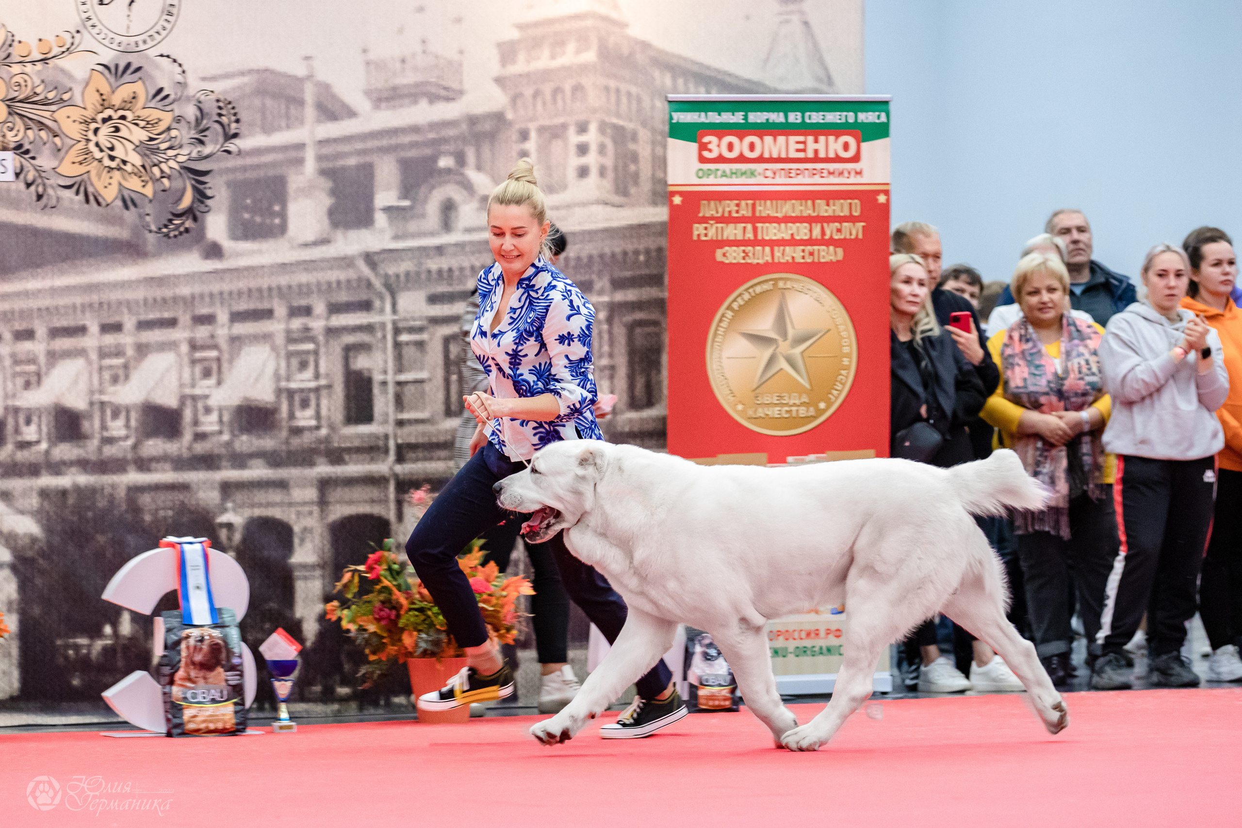 Нижний Новгород 15-16.10.2022. Фотограф-анималист Юлия Германика