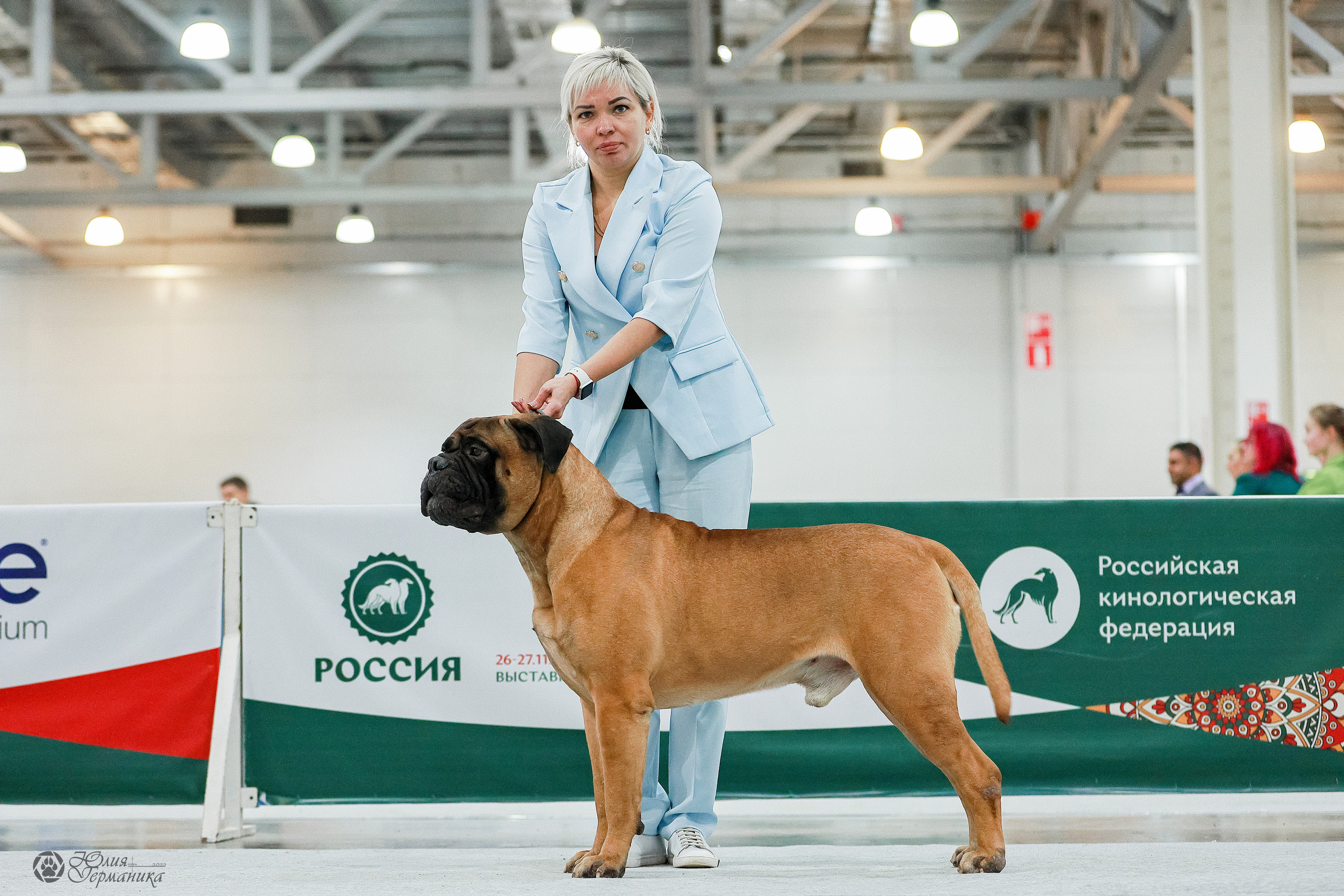 Россия 2020-2022 26-27.11.2022. Фотограф-анималист Юлия Германика