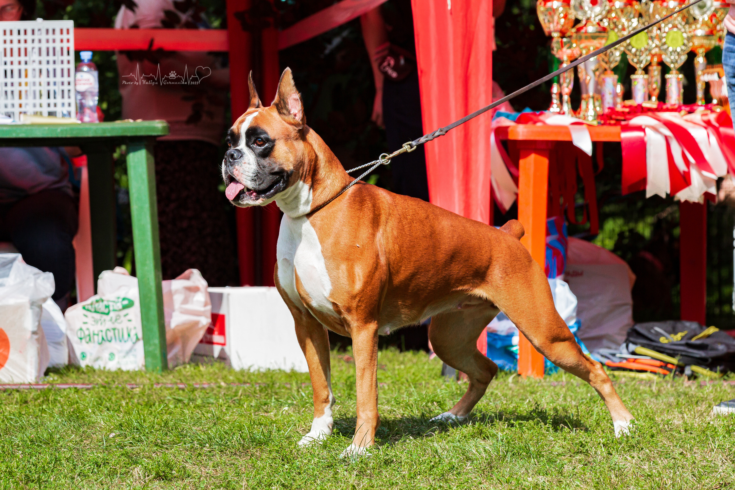 Сокольники 21.08,Сергиев Посад 27-28.08 2022. Фотограф-анималист Юлия Германика