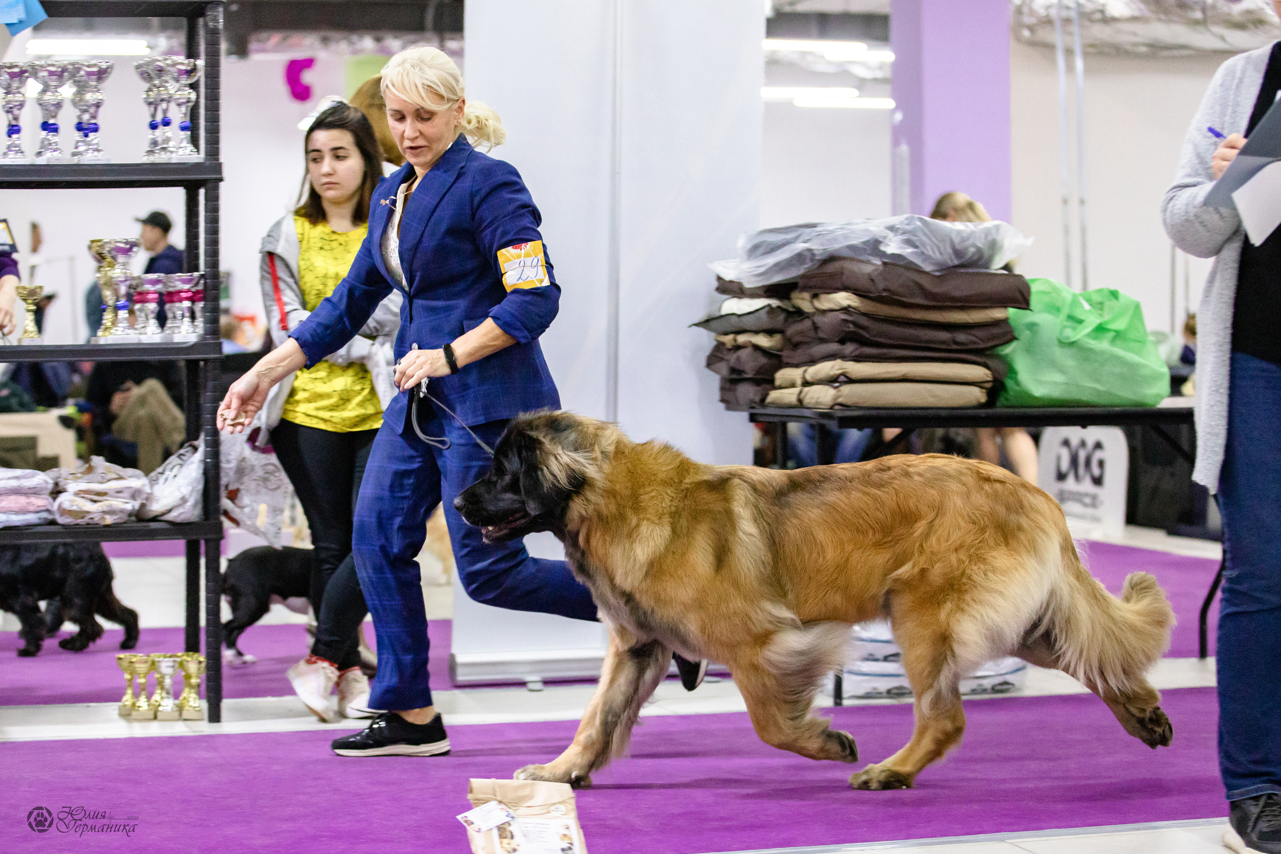 Чайна-Таун 29-30.10.2022. Фотограф-анималист Юлия Германика