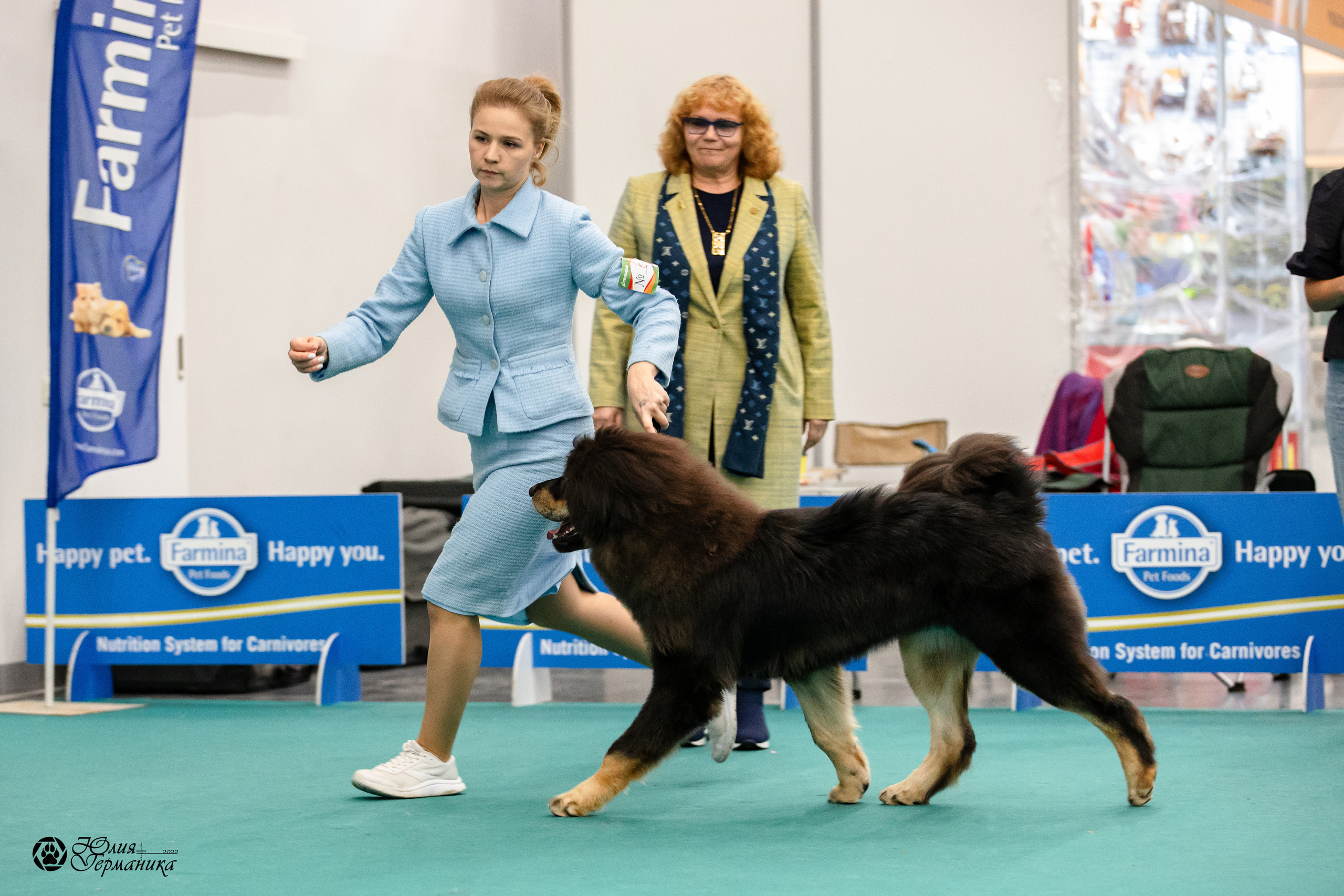 Нижний Новгород 15-16.10.2022. Фотограф-анималист Юлия Германика