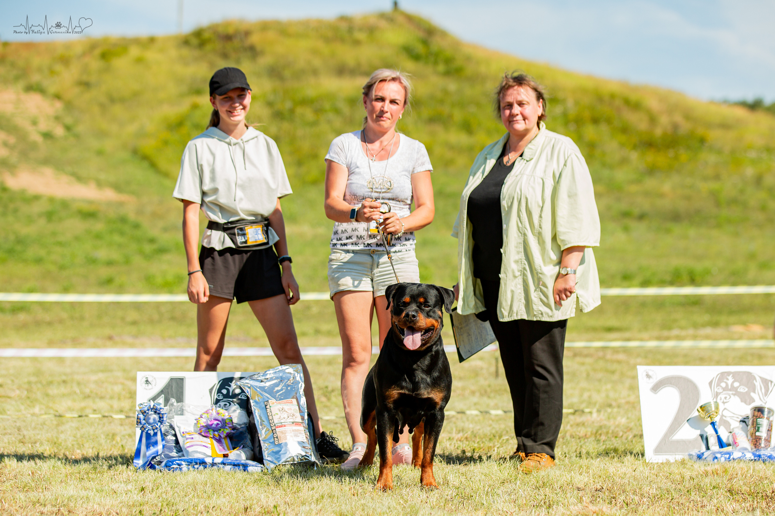 Рязань моно ротвейлеров 13.08.2022. Фотограф-анималист Юлия Германика