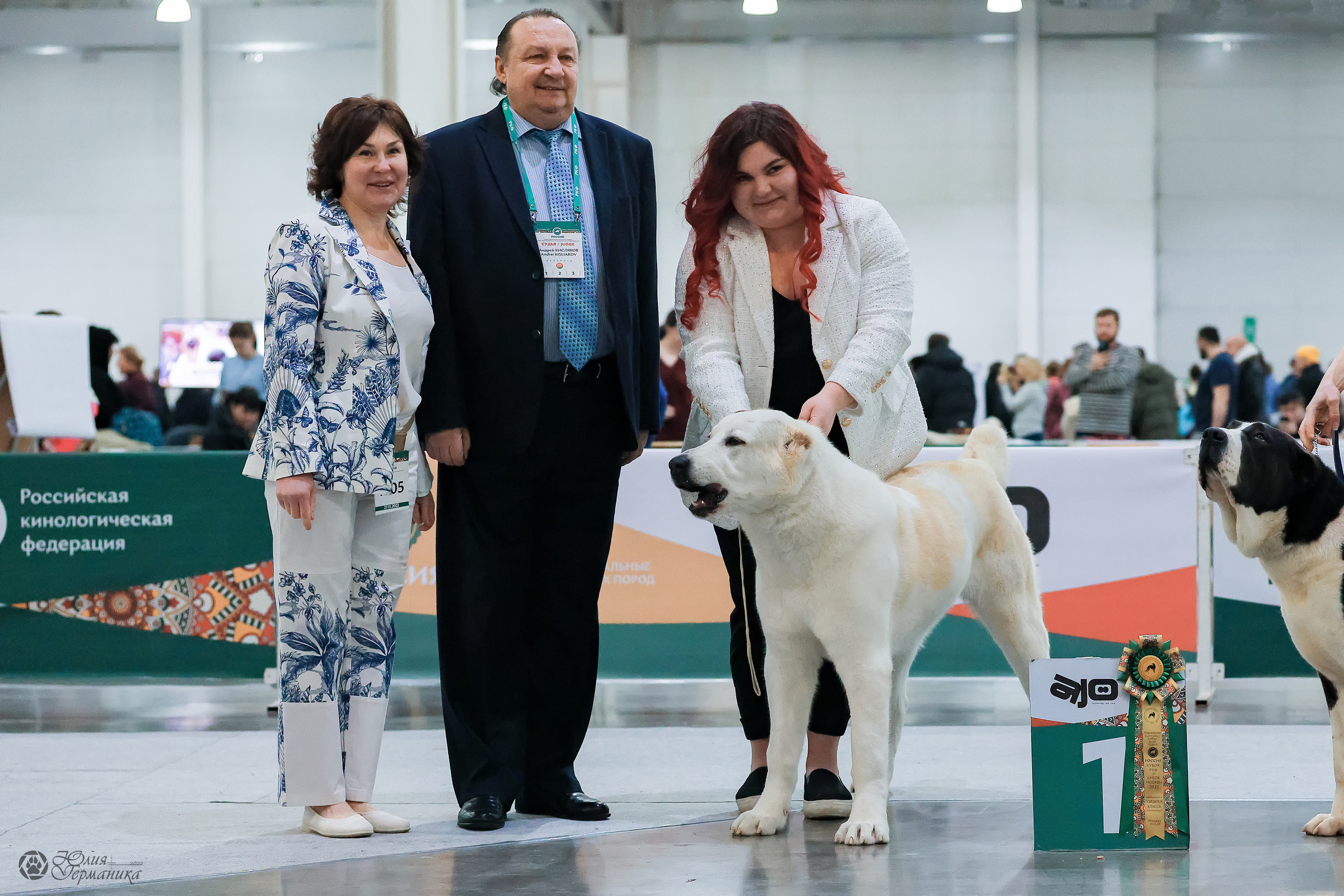 Россия 2020-2022 26-27.11.2022. Фотограф-анималист Юлия Германика