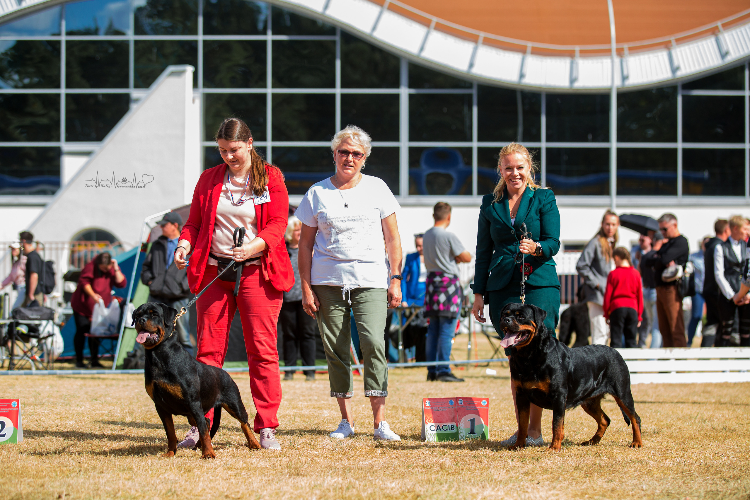 Минск 2хCACIB 3-4.09.2022. Фотограф-анималист Юлия Германика