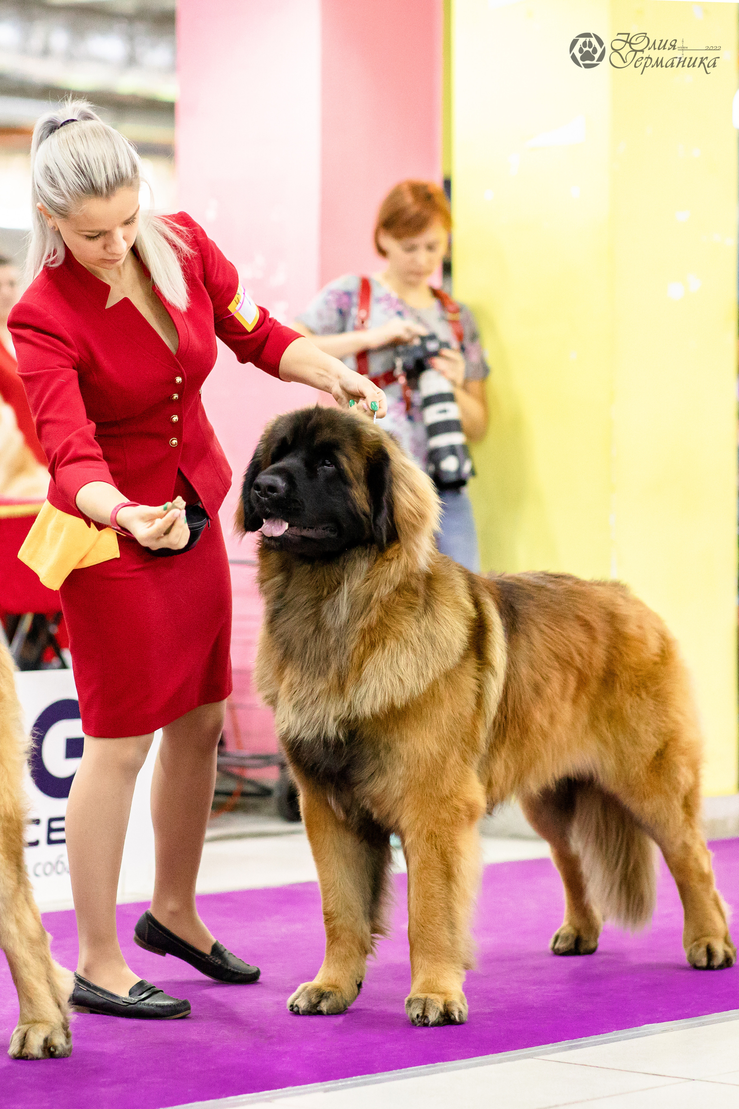 Чайна-Таун 29-30.10.2022. Фотограф-анималист Юлия Германика