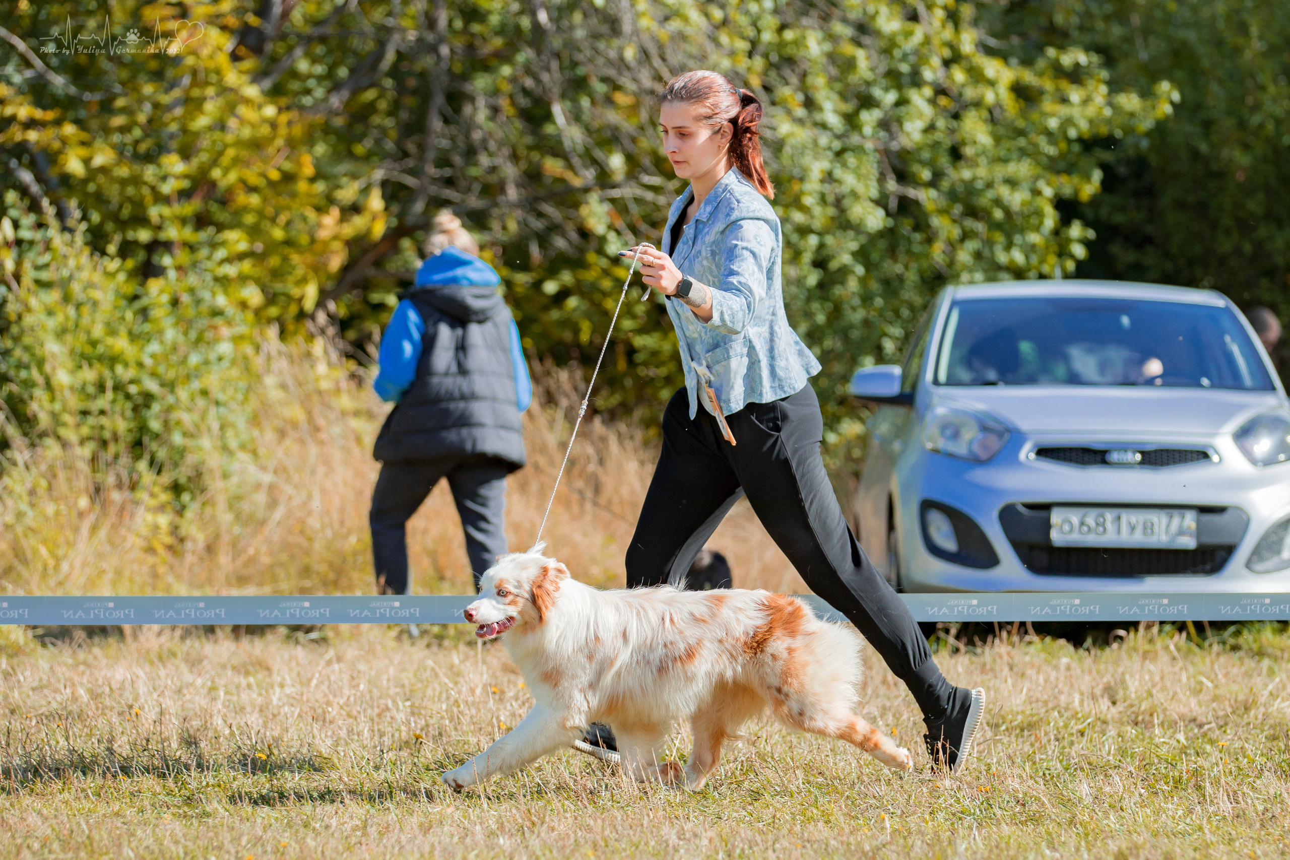 Пушкино ЧРКФ 17.09.2022. Фотограф-анималист Юлия Германика