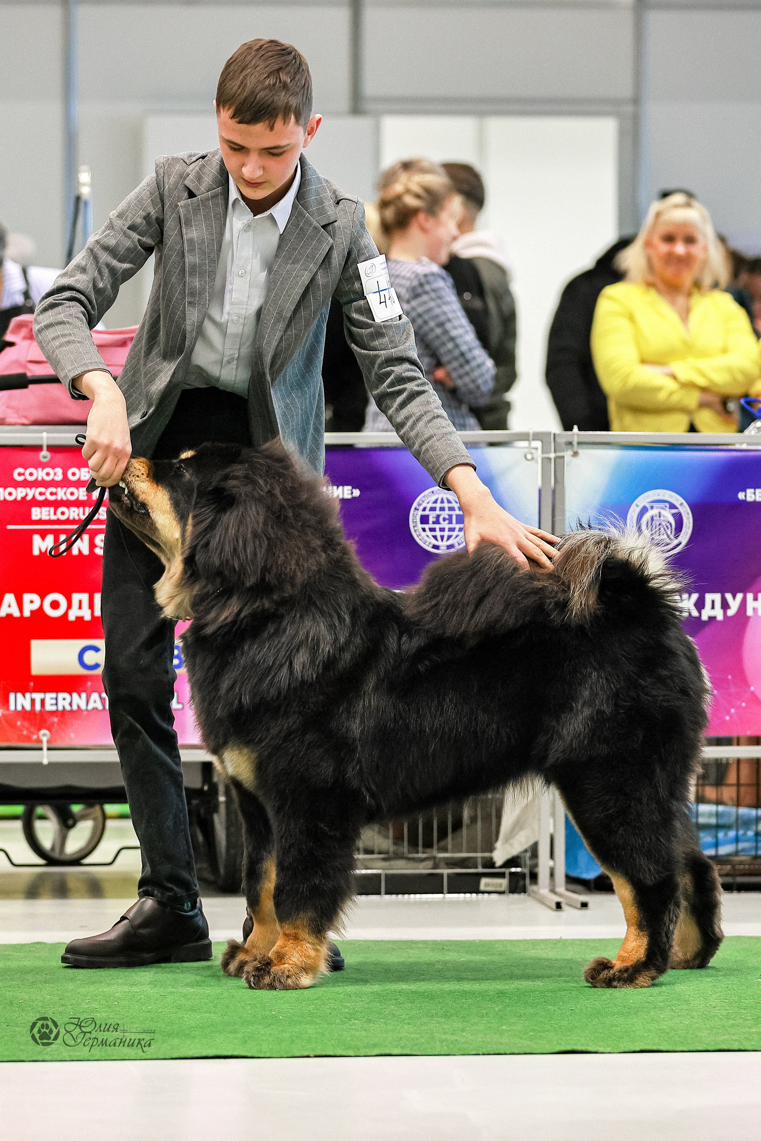 Минск 19-20.11.2022. Фотограф-анималист Юлия Германика