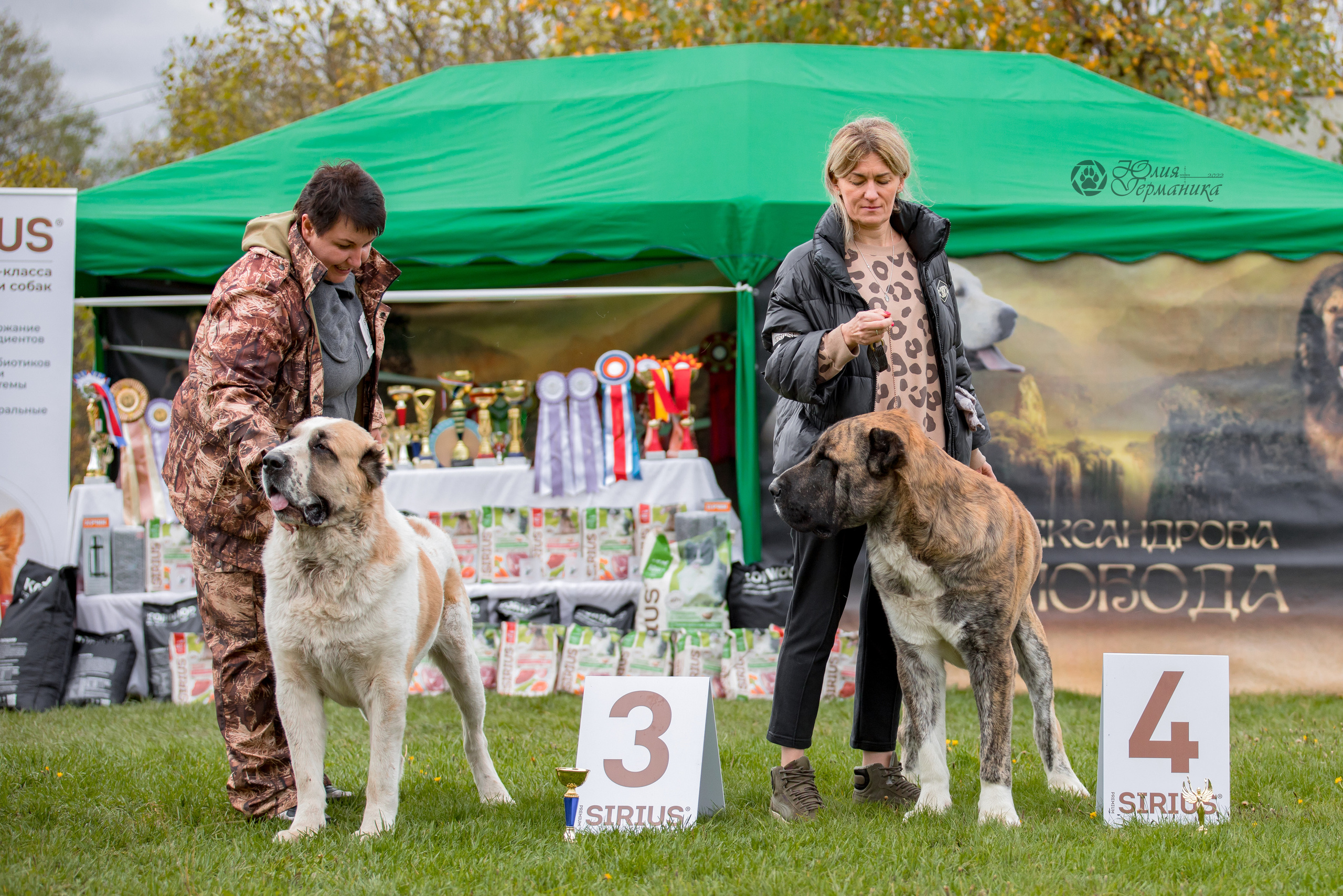 Александрова Слобода моно сао 2.10.2022. Фотограф-анималист Юлия Германика