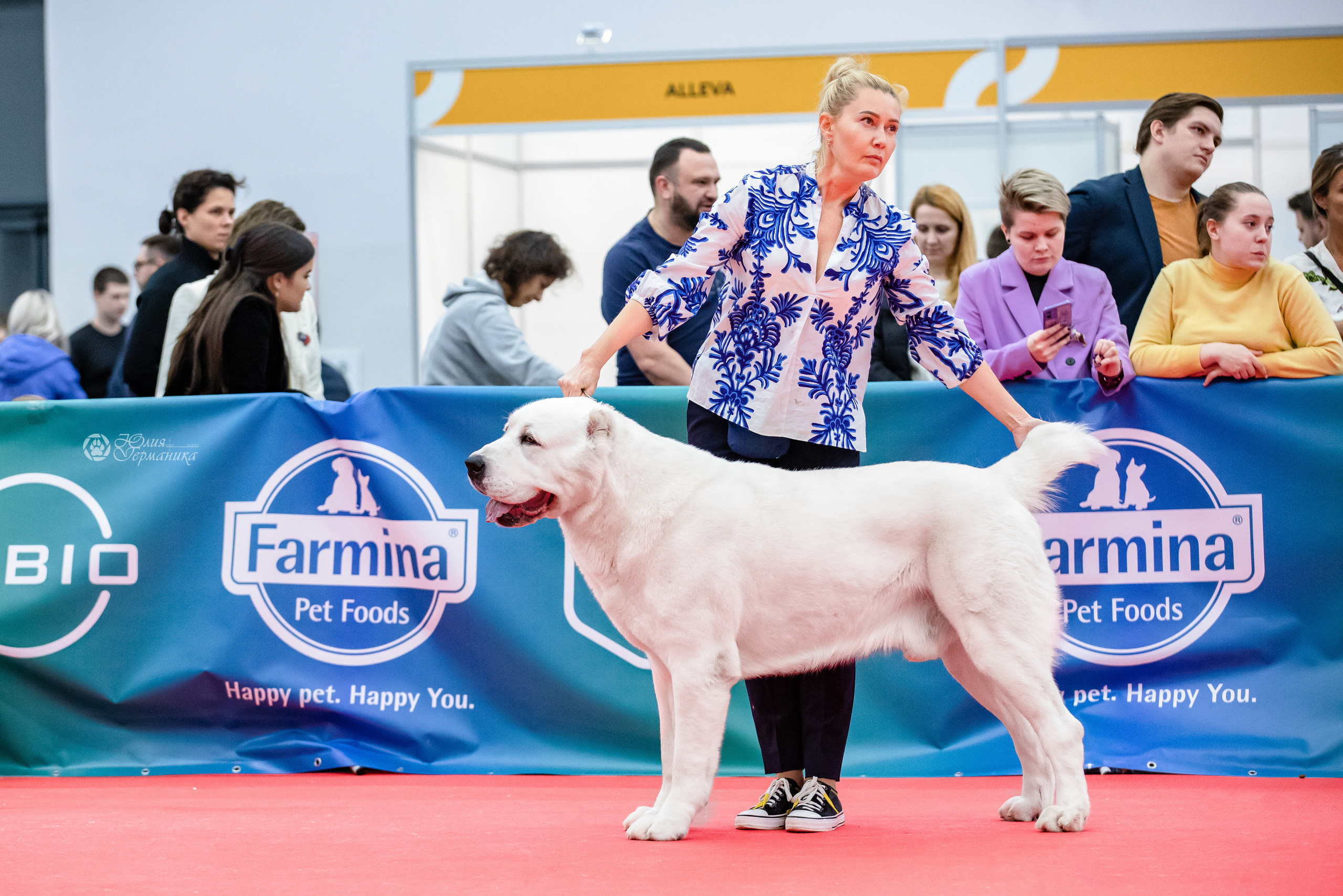 Нижний Новгород 15-16.10.2022. Фотограф-анималист Юлия Германика