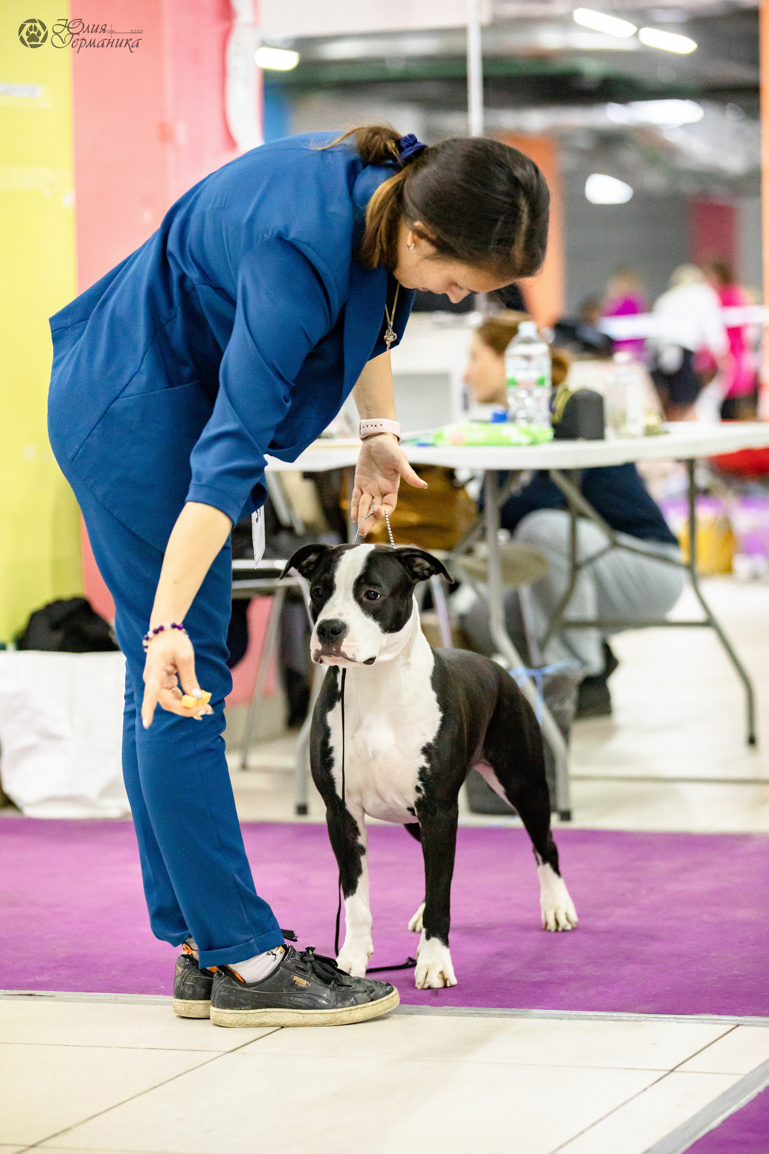 Чайна-Таун 29-30.10.2022. Фотограф-анималист Юлия Германика