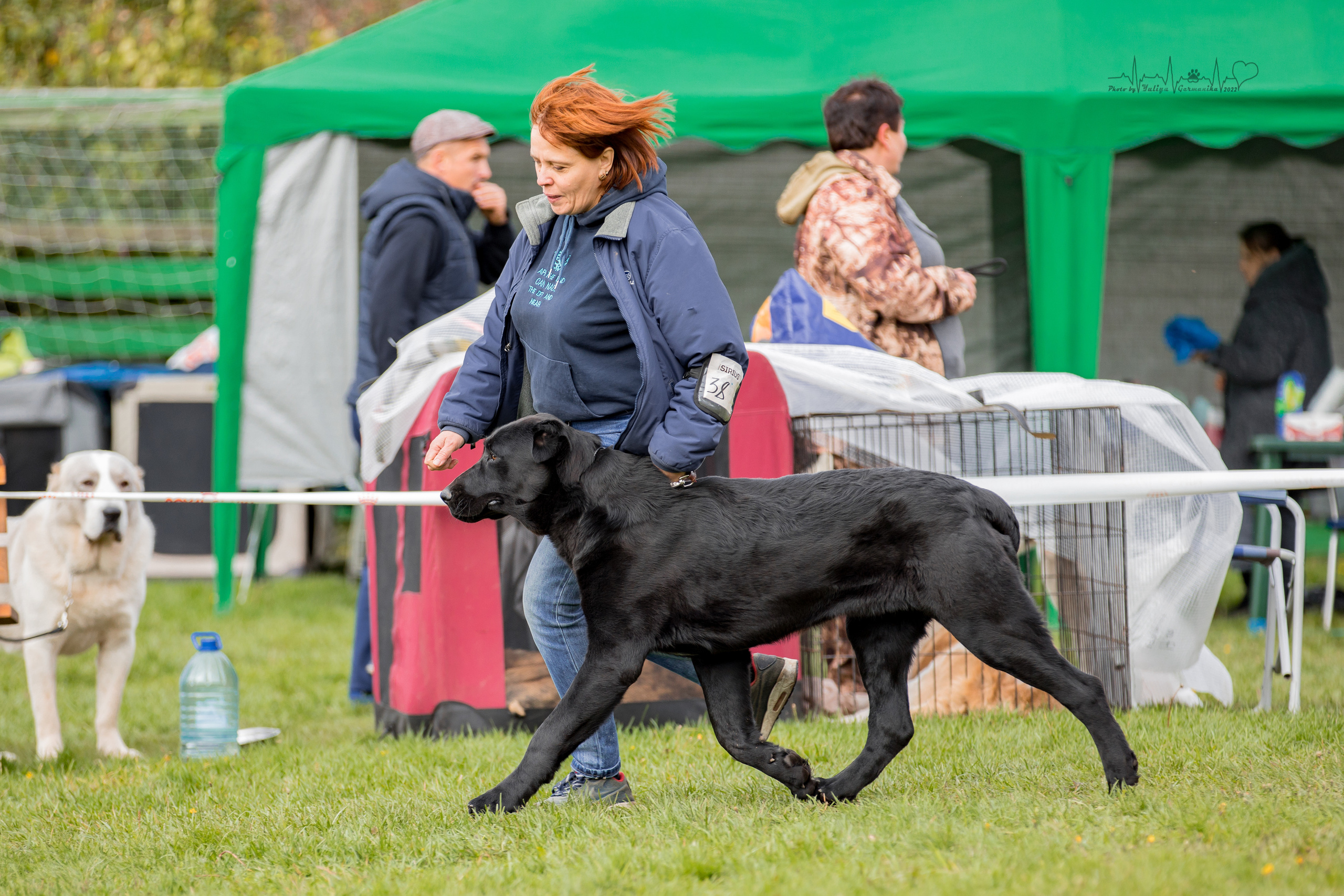 Александрова Слобода моно сао 2.10.2022. Фотограф-анималист Юлия Германика