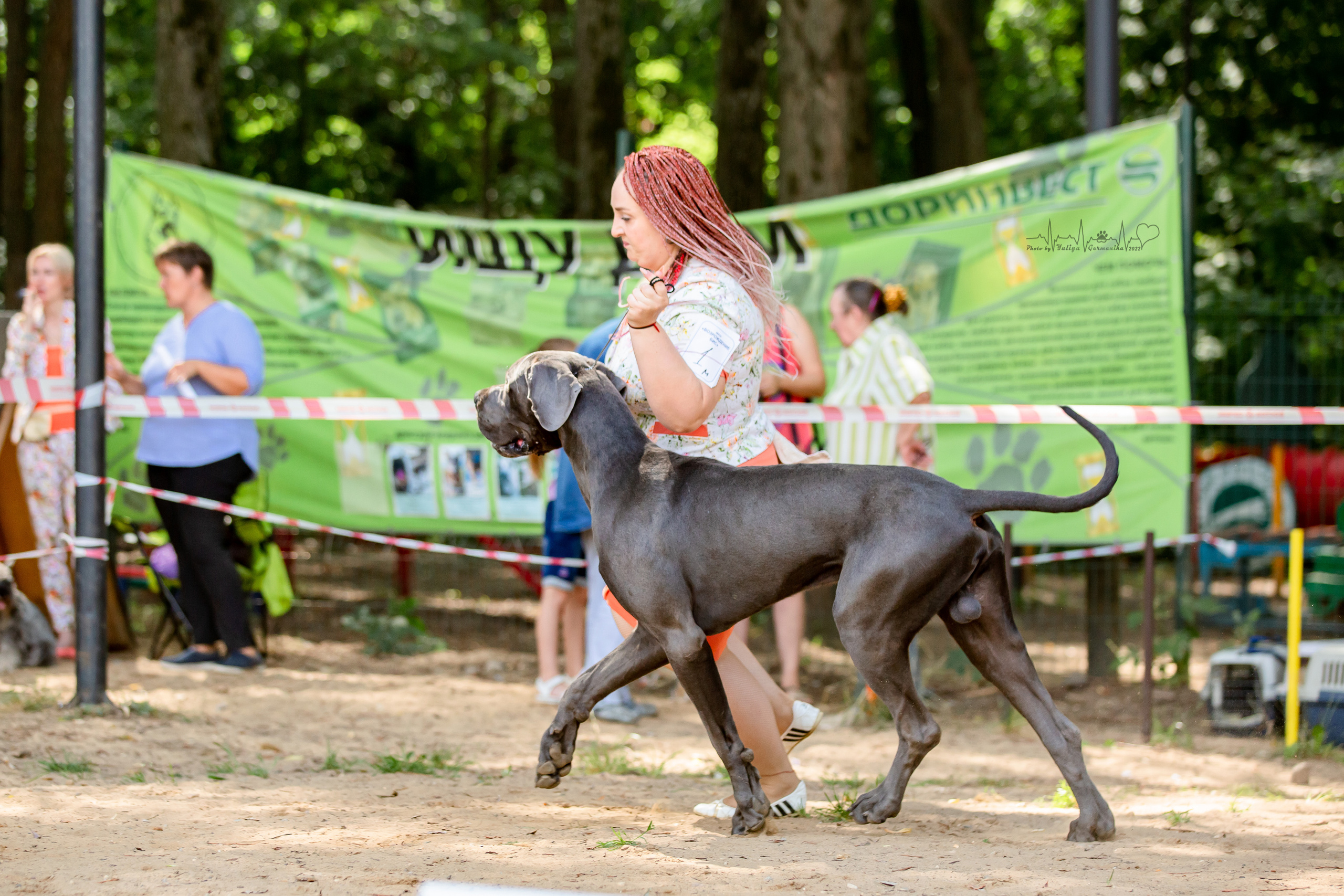 Ховрино фестиваль монопородок 14.08.2022. Фотограф-анималист Юлия Германика