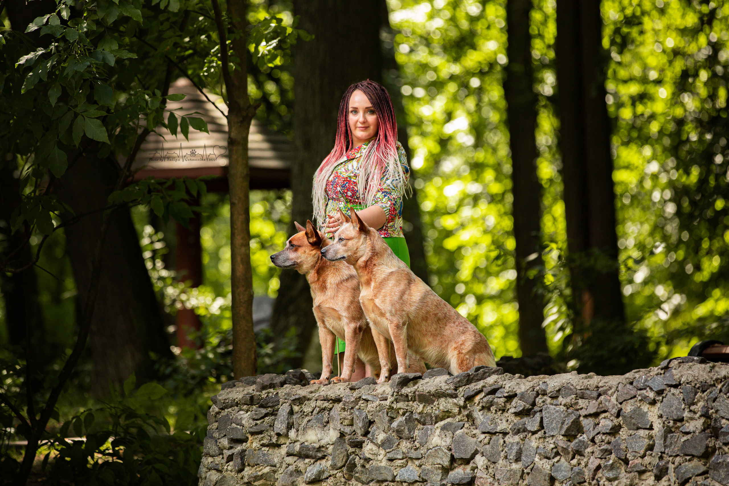 Ховрино 31.07,Чайна-Таун 6.08,Тверь 7.08. Фотограф-анималист Юлия Германика