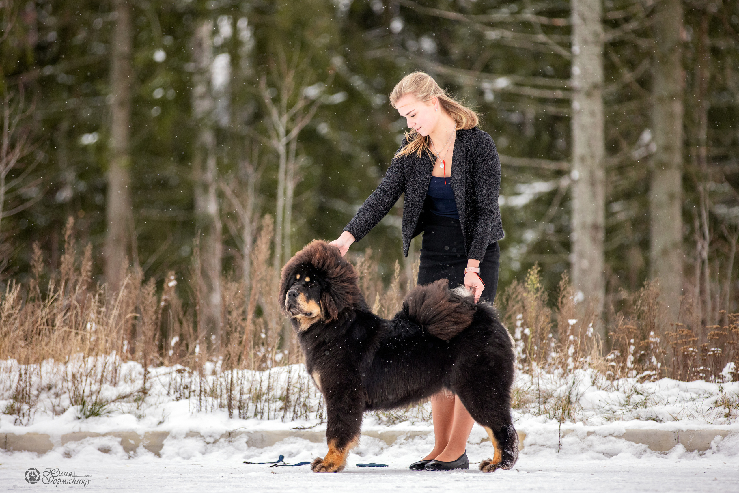 Минск 19-20.11.2022. Фотограф-анималист Юлия Германика