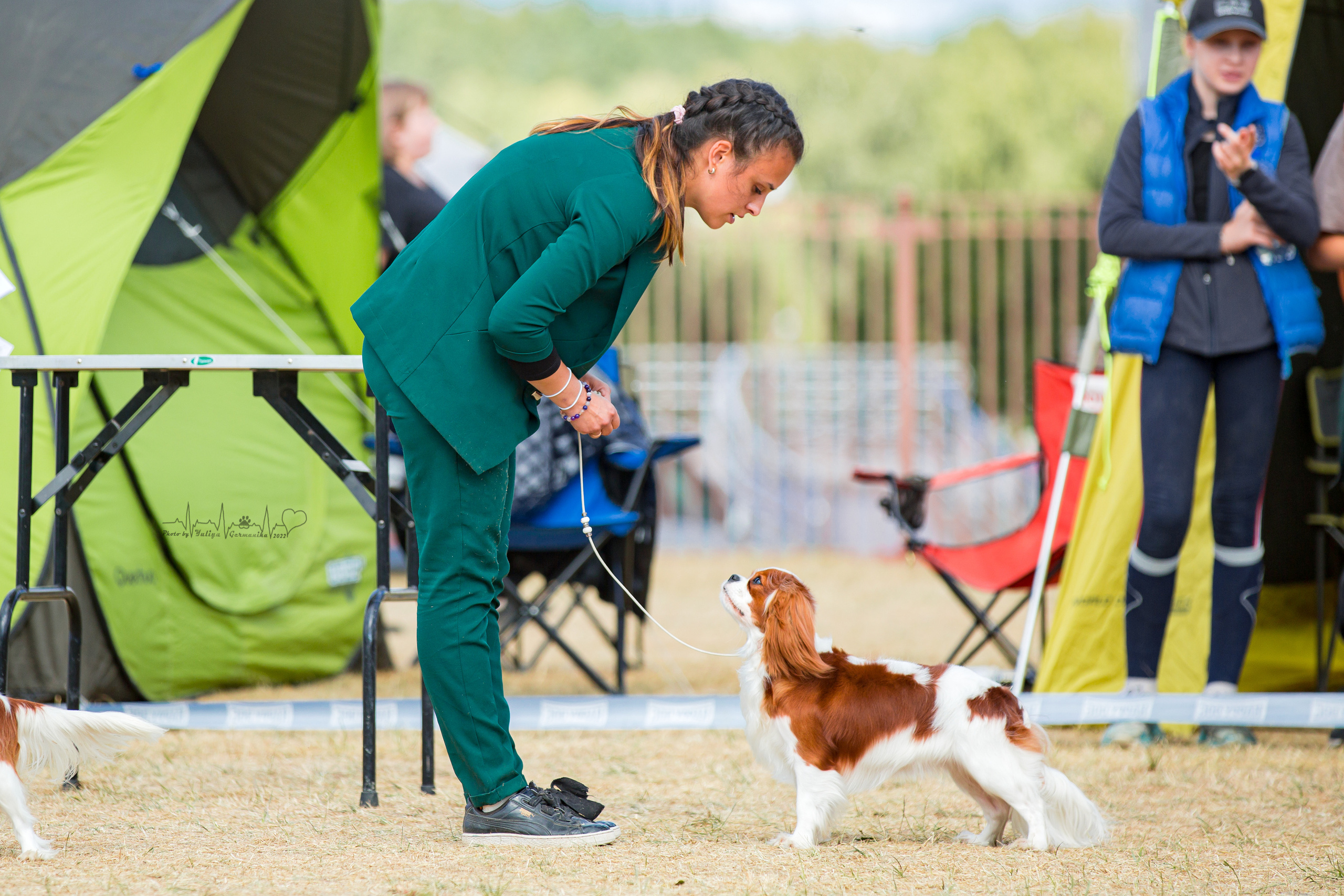 Минск 2хCACIB 3-4.09.2022. Фотограф-анималист Юлия Германика