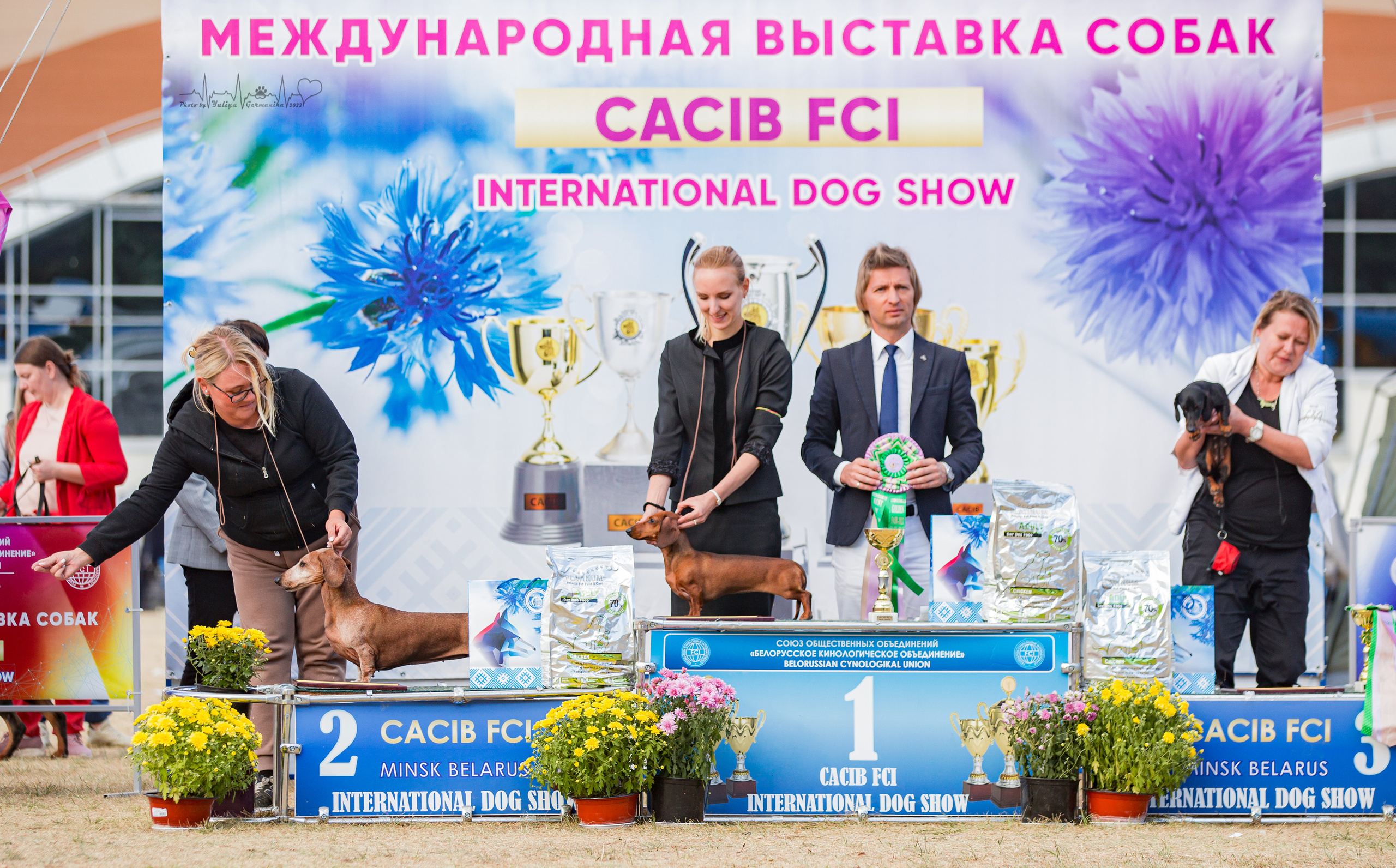 Минск 2хCACIB 3-4.09.2022. Фотограф-анималист Юлия Германика