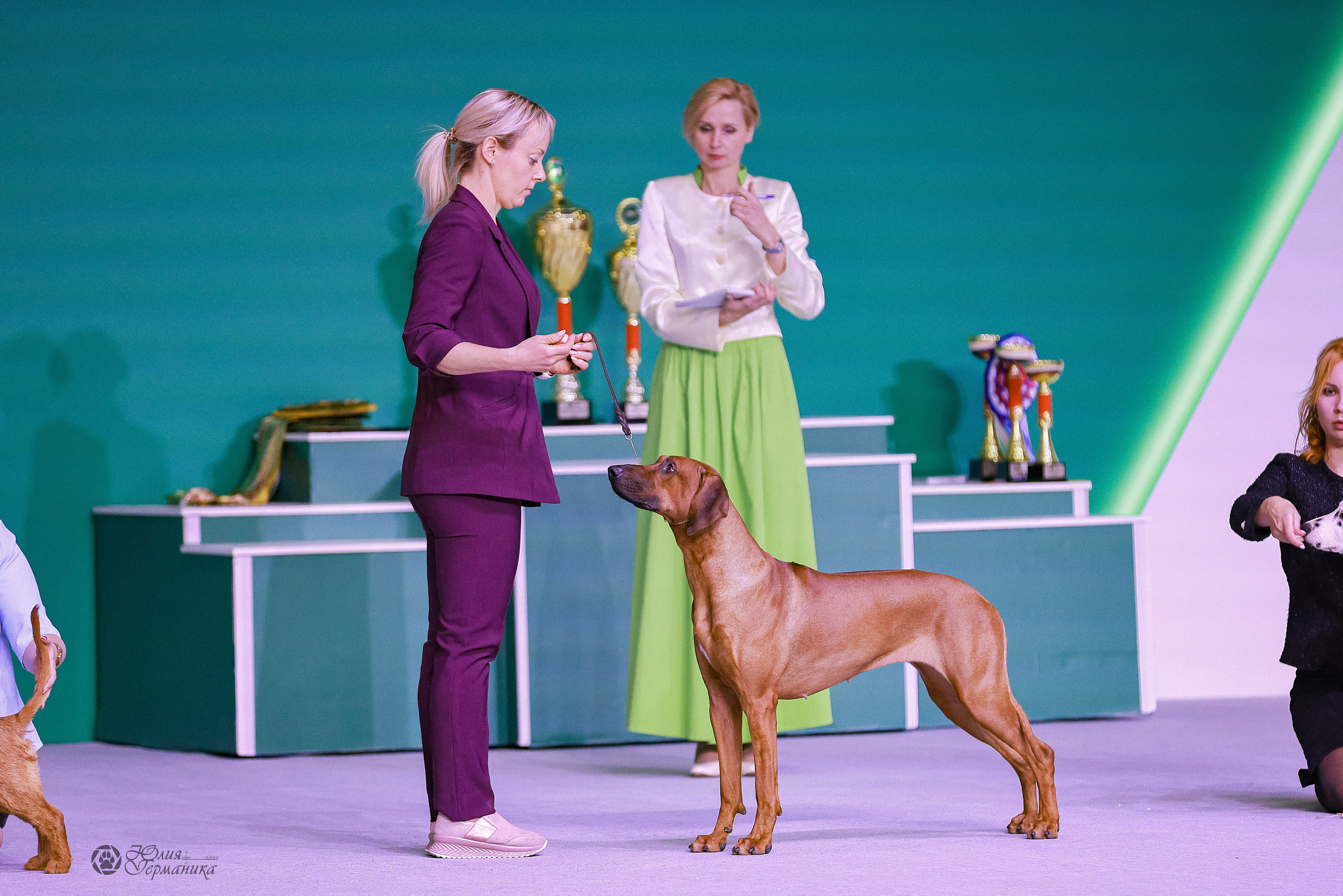 Россия 2020-2022 26-27.11.2022. Фотограф-анималист Юлия Германика