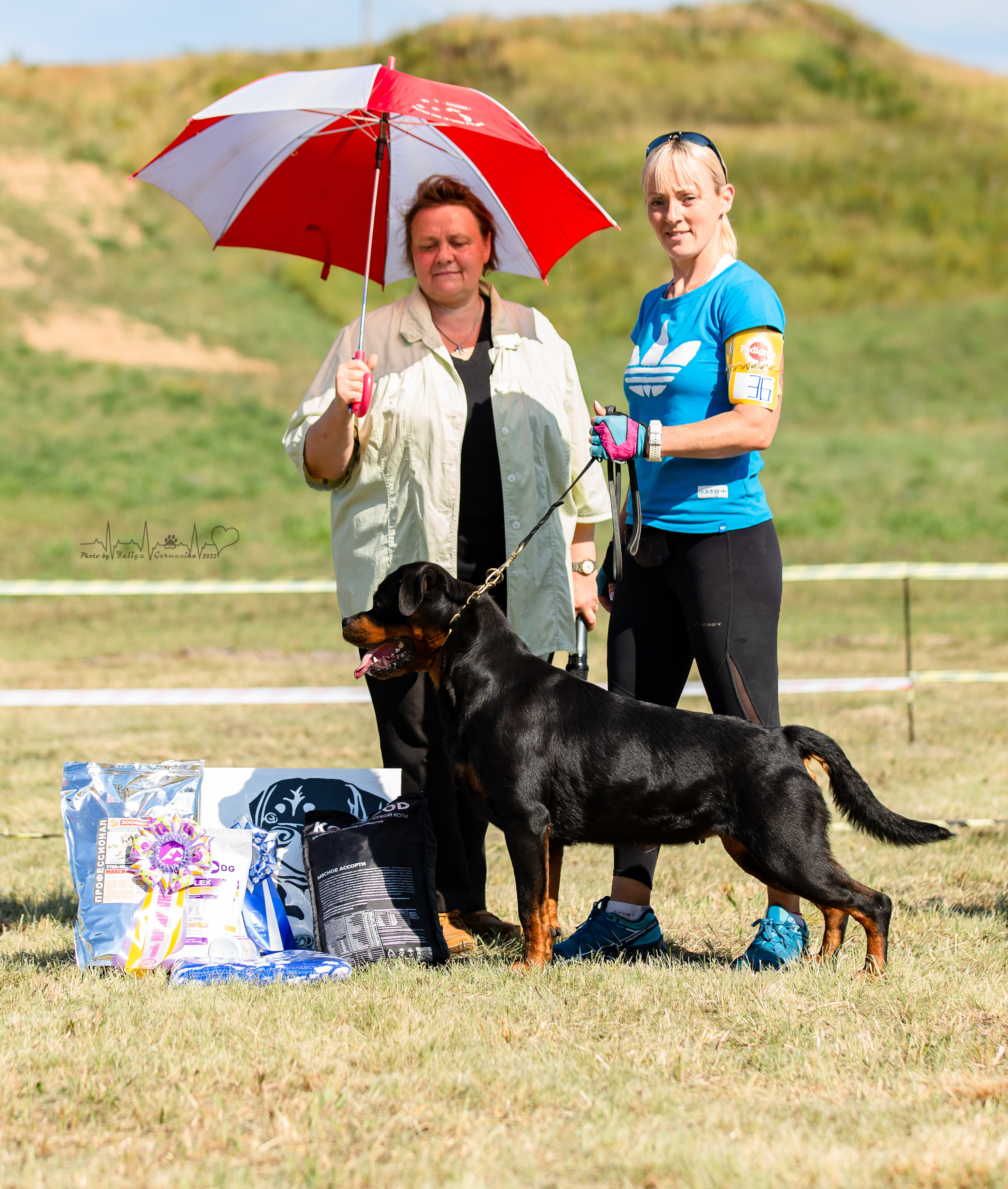 Рязань моно ротвейлеров 13.08.2022. Фотограф-анималист Юлия Германика