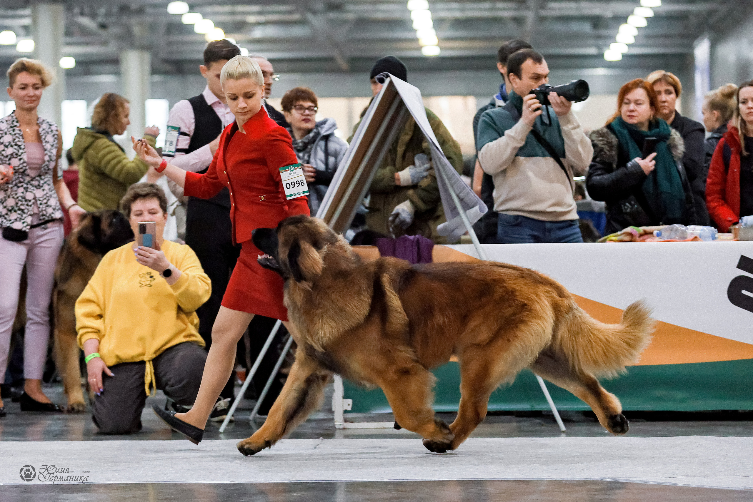 Россия 2020-2022 26-27.11.2022. Фотограф-анималист Юлия Германика
