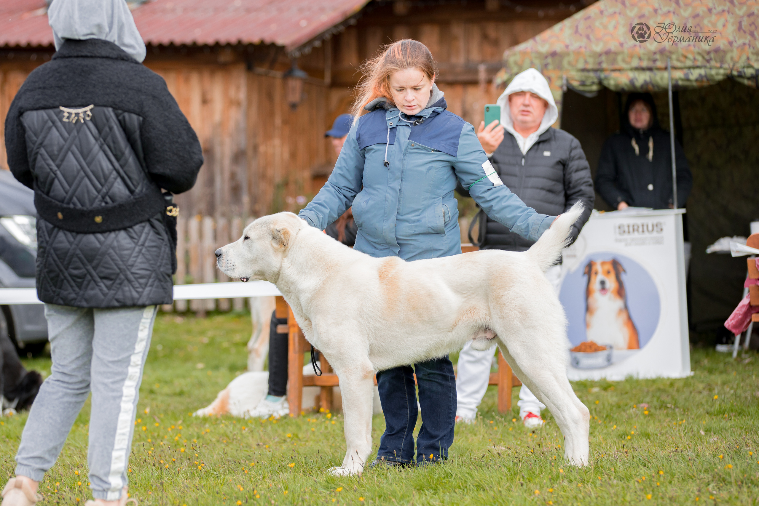 Александрова Слобода моно сао 2.10.2022. Фотограф-анималист Юлия Германика