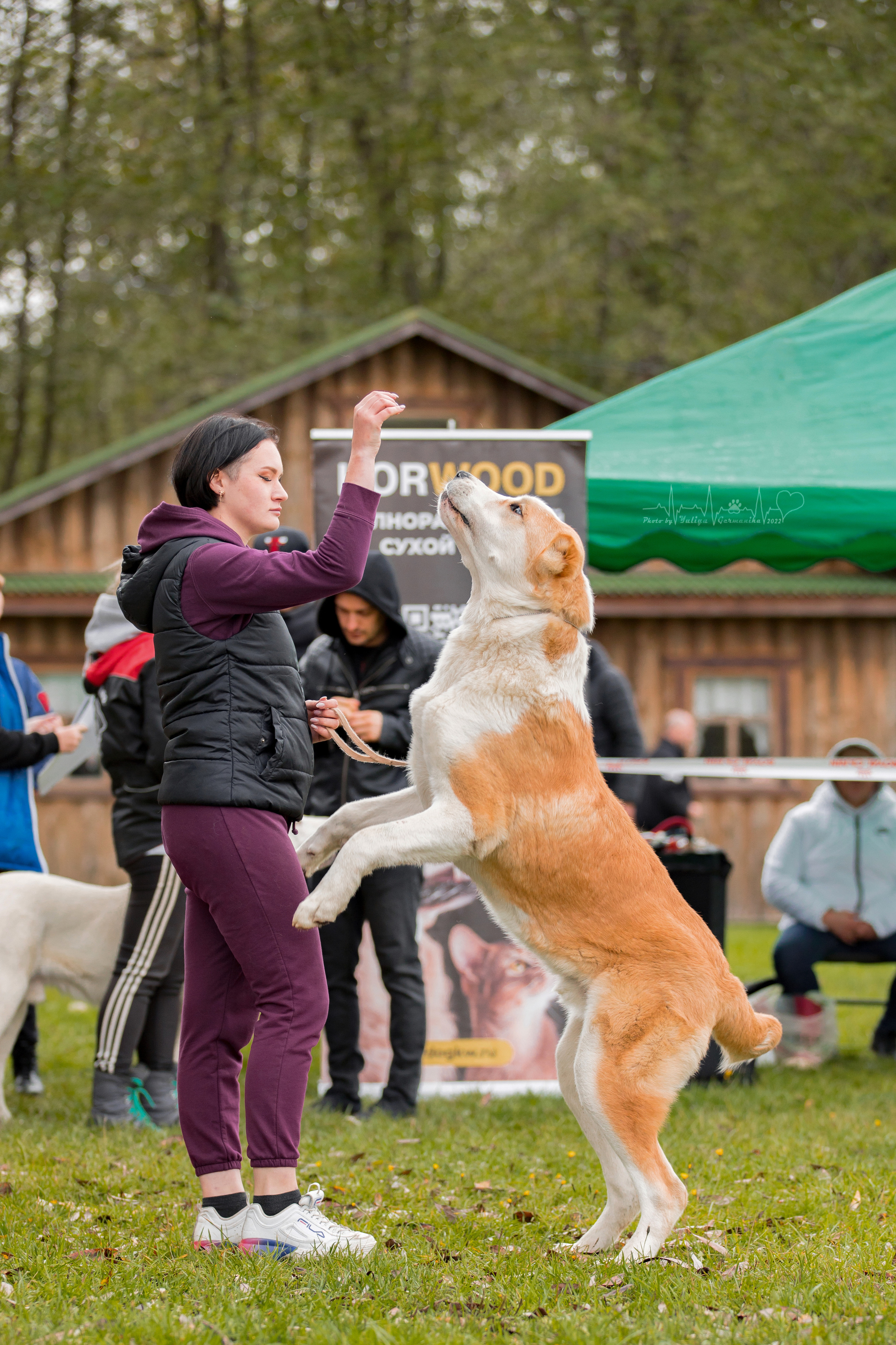 Александрова Слобода моно сао 2.10.2022. Фотограф-анималист Юлия Германика
