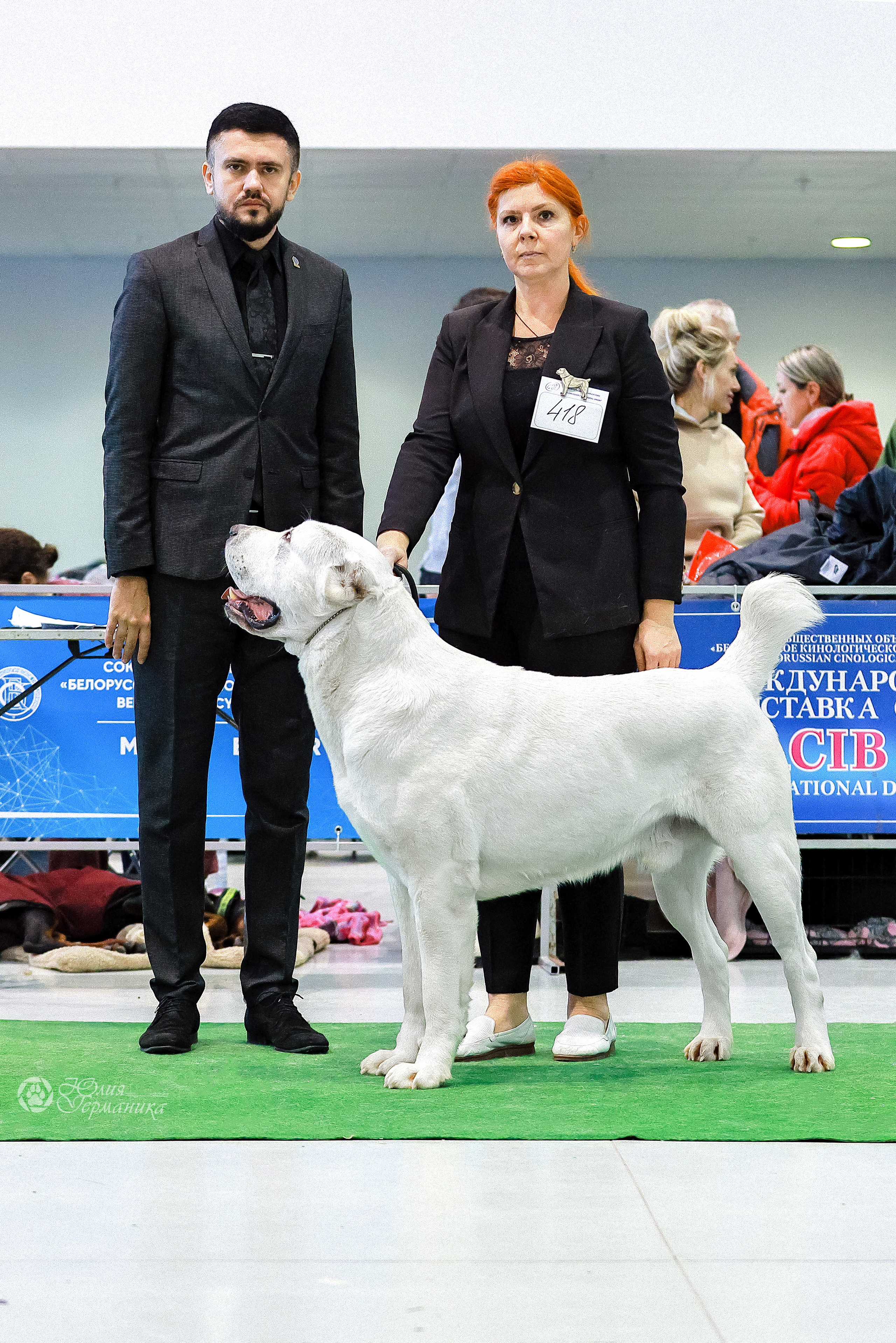 Минск 19-20.11.2022. Фотограф-анималист Юлия Германика