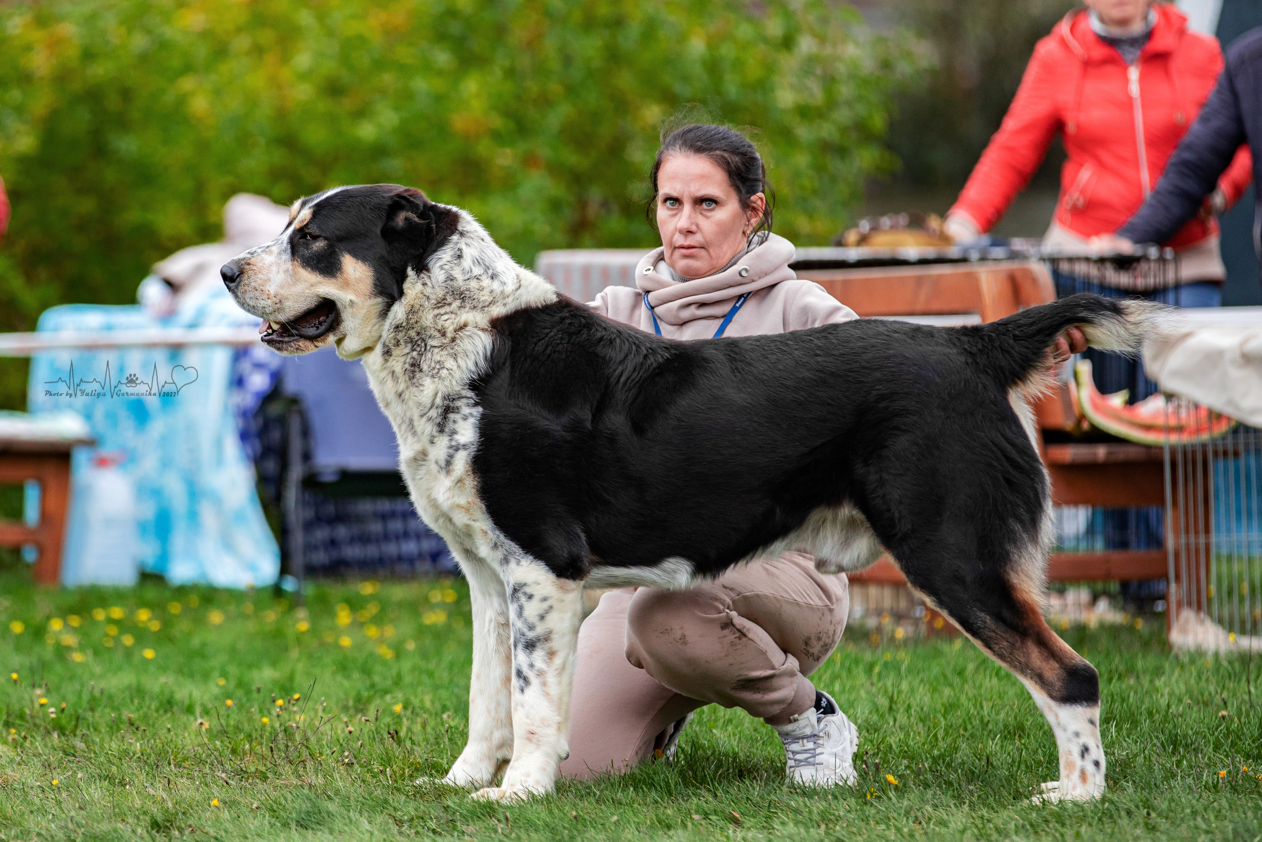 Александрова Слобода моно сао 2.10.2022. Фотограф-анималист Юлия Германика