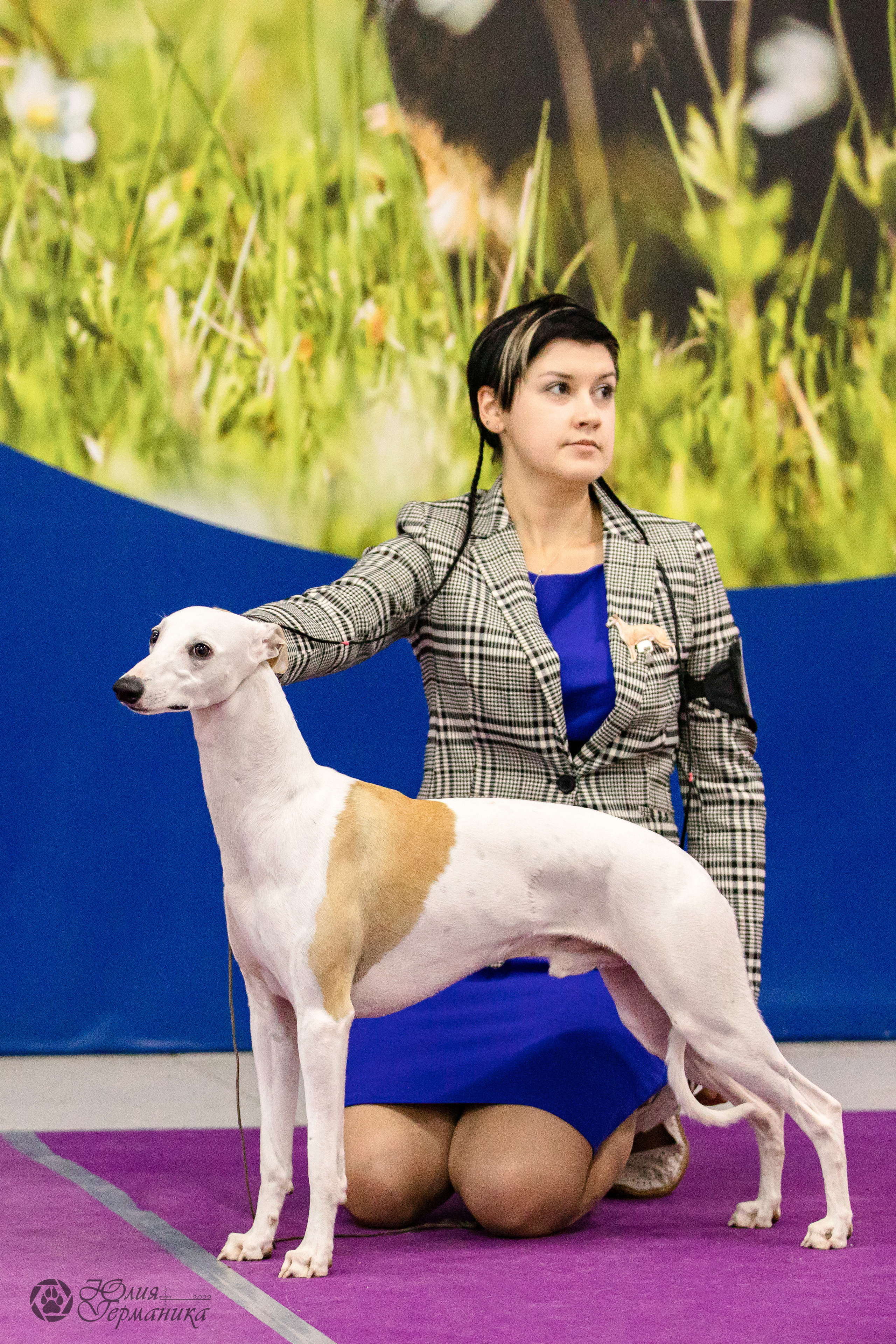 Чайна-Таун 29-30.10.2022. Фотограф-анималист Юлия Германика