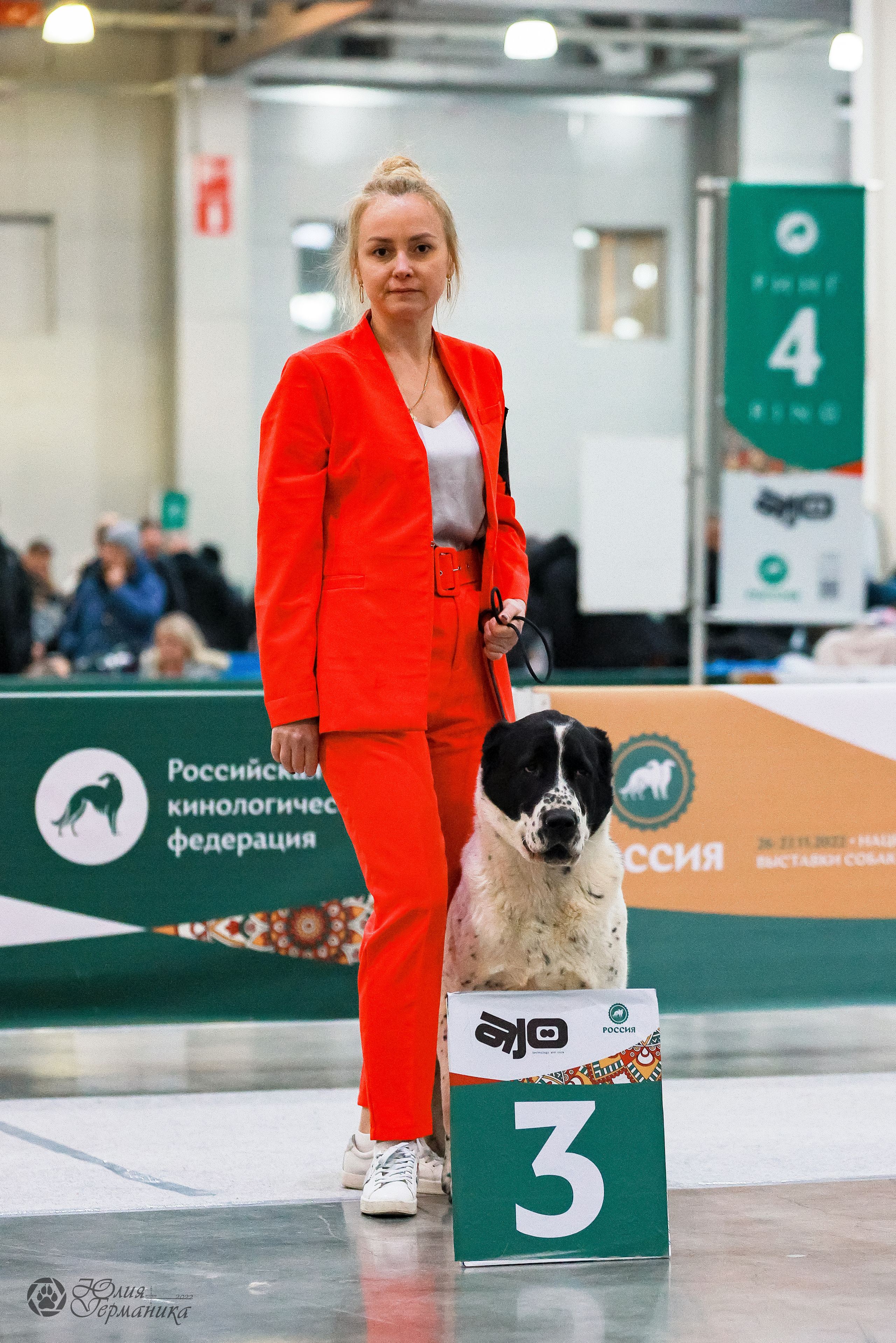 Россия 2020-2022 26-27.11.2022. Фотограф-анималист Юлия Германика