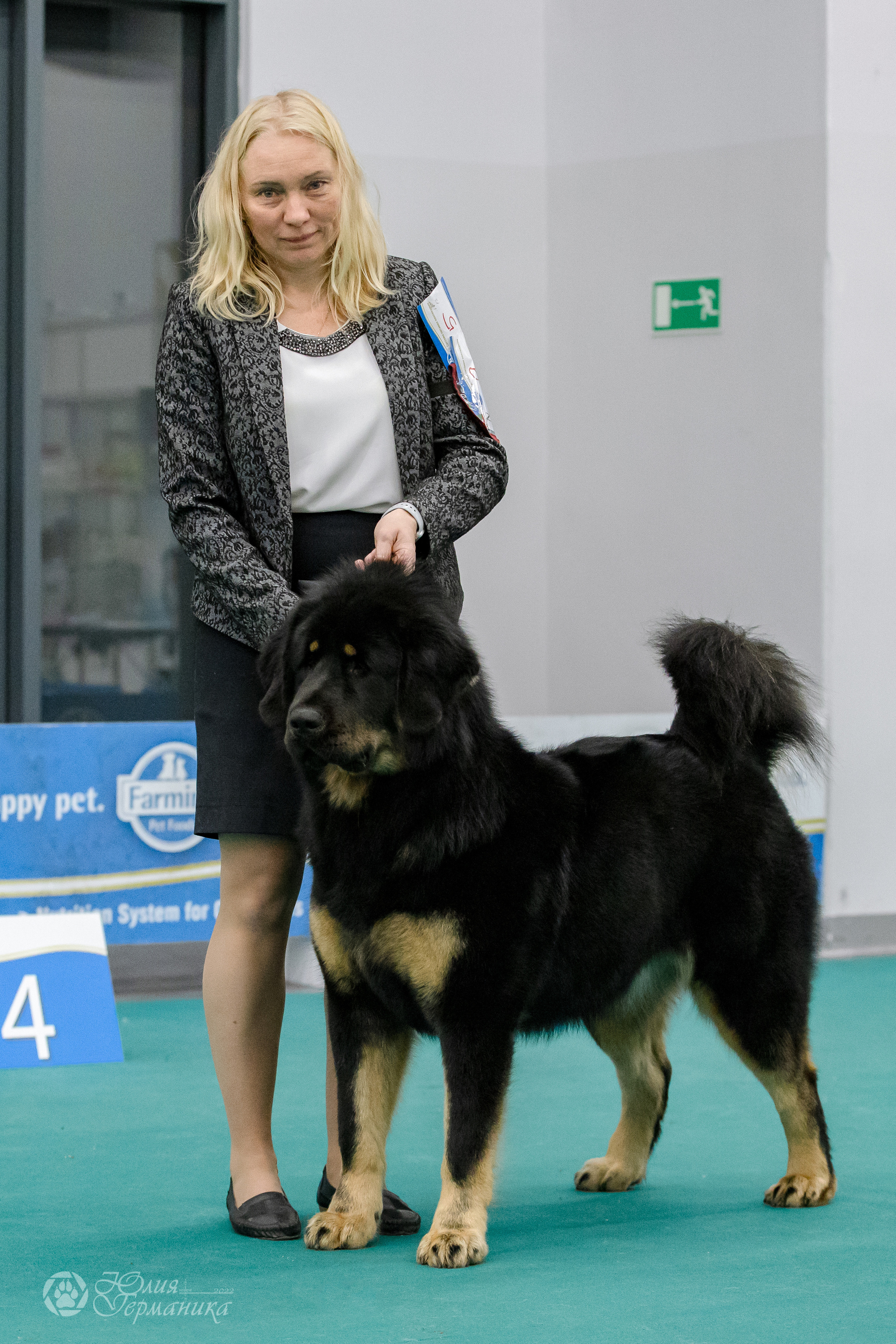 Нижний Новгород 15-16.10.2022. Фотограф-анималист Юлия Германика