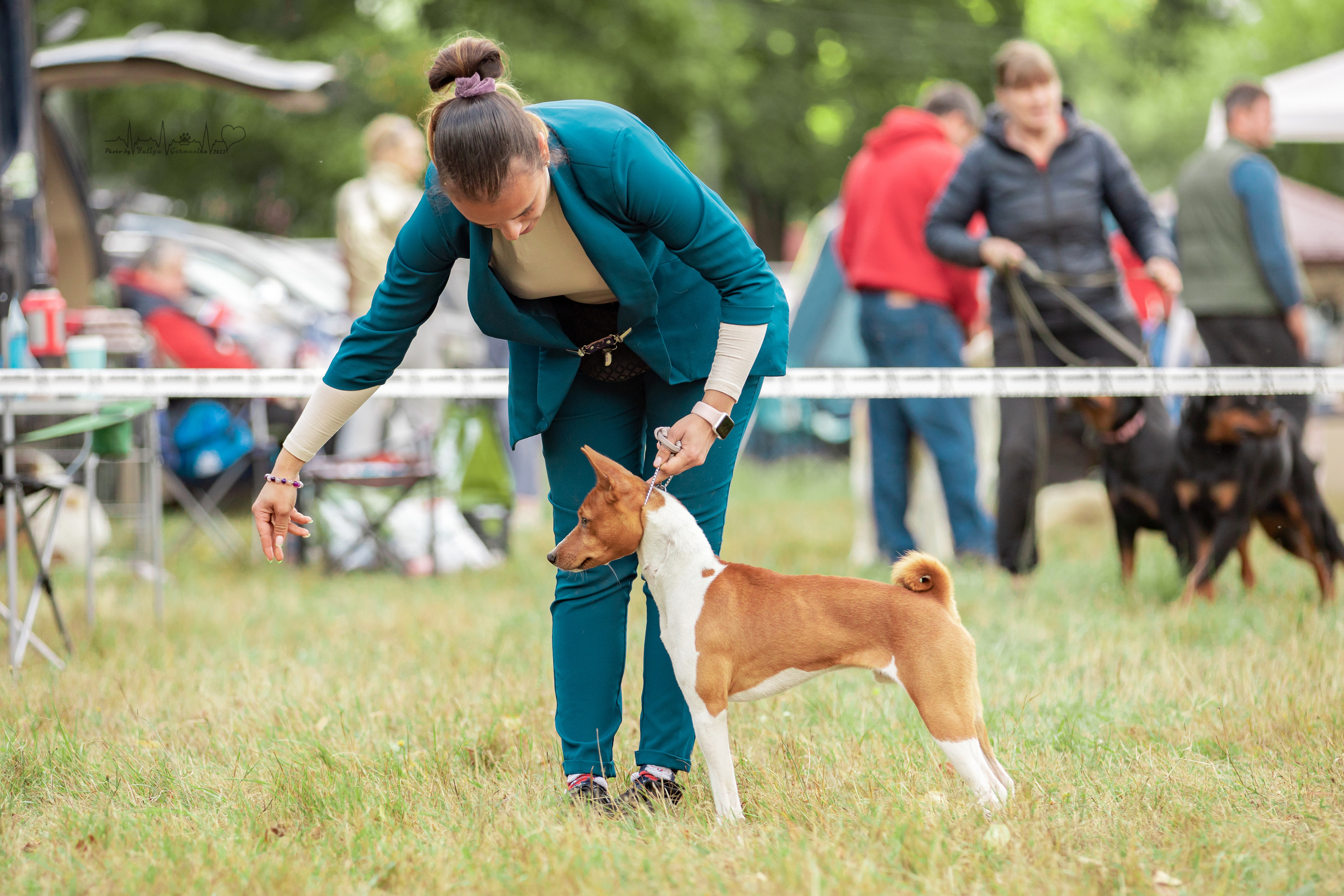 Пушкино ЧРКФ 17.09.2022. Фотограф-анималист Юлия Германика