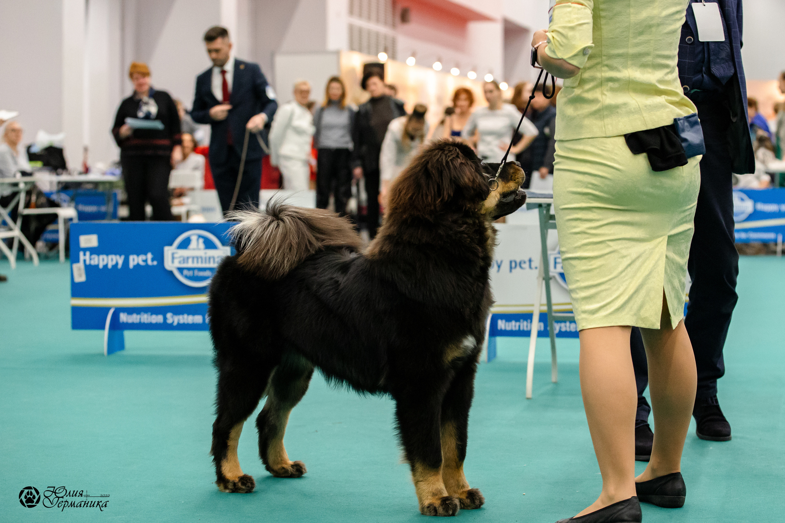 Нижний Новгород 15-16.10.2022. Фотограф-анималист Юлия Германика