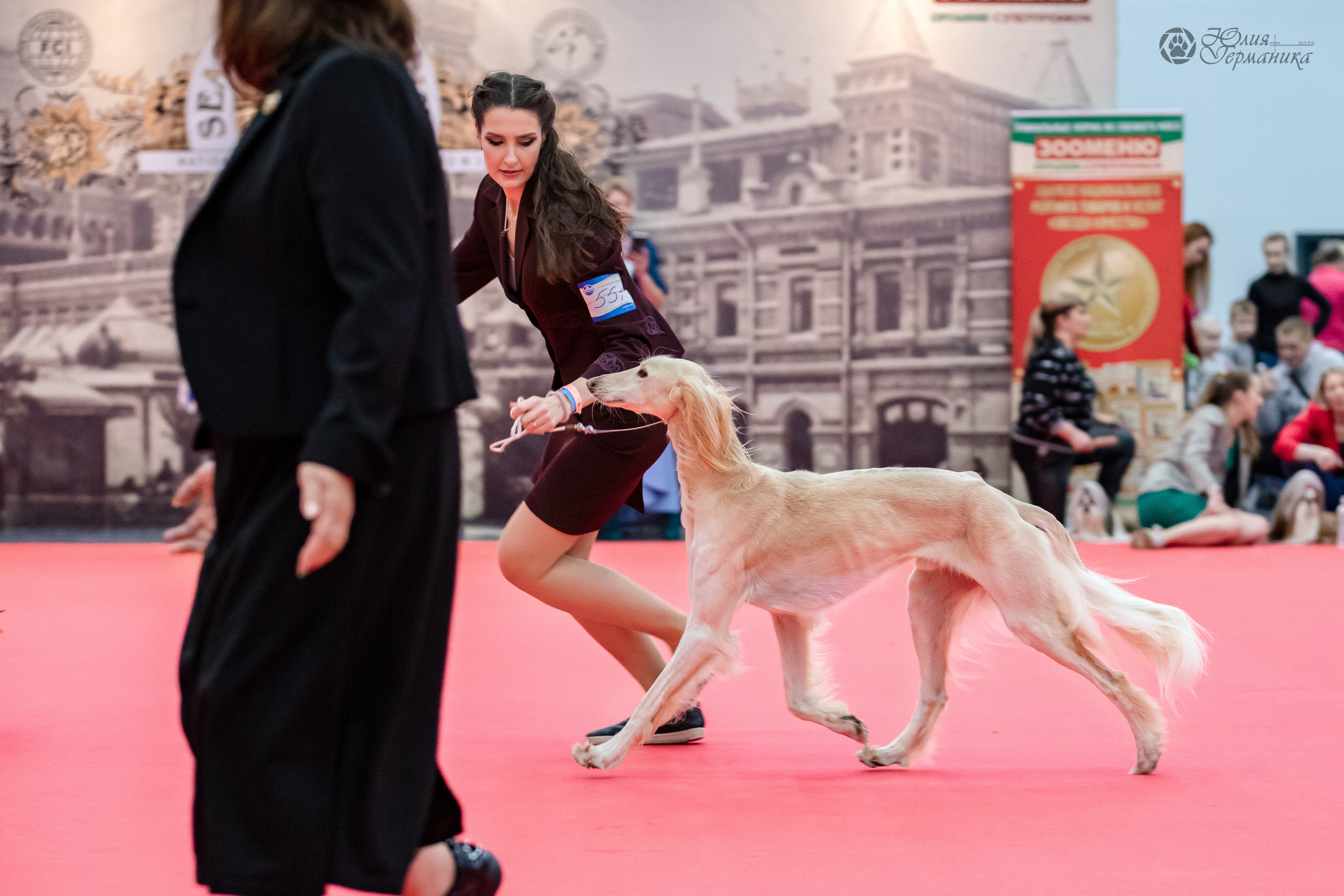 Нижний Новгород 15-16.10.2022. Фотограф-анималист Юлия Германика