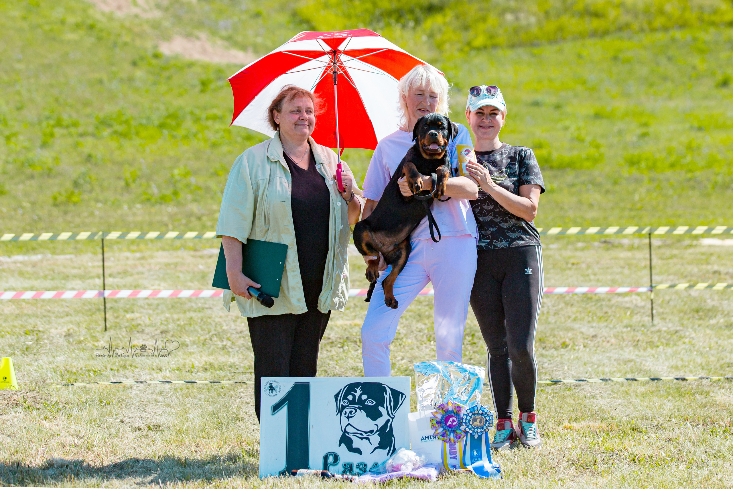 Рязань моно ротвейлеров 13.08.2022. Фотограф-анималист Юлия Германика