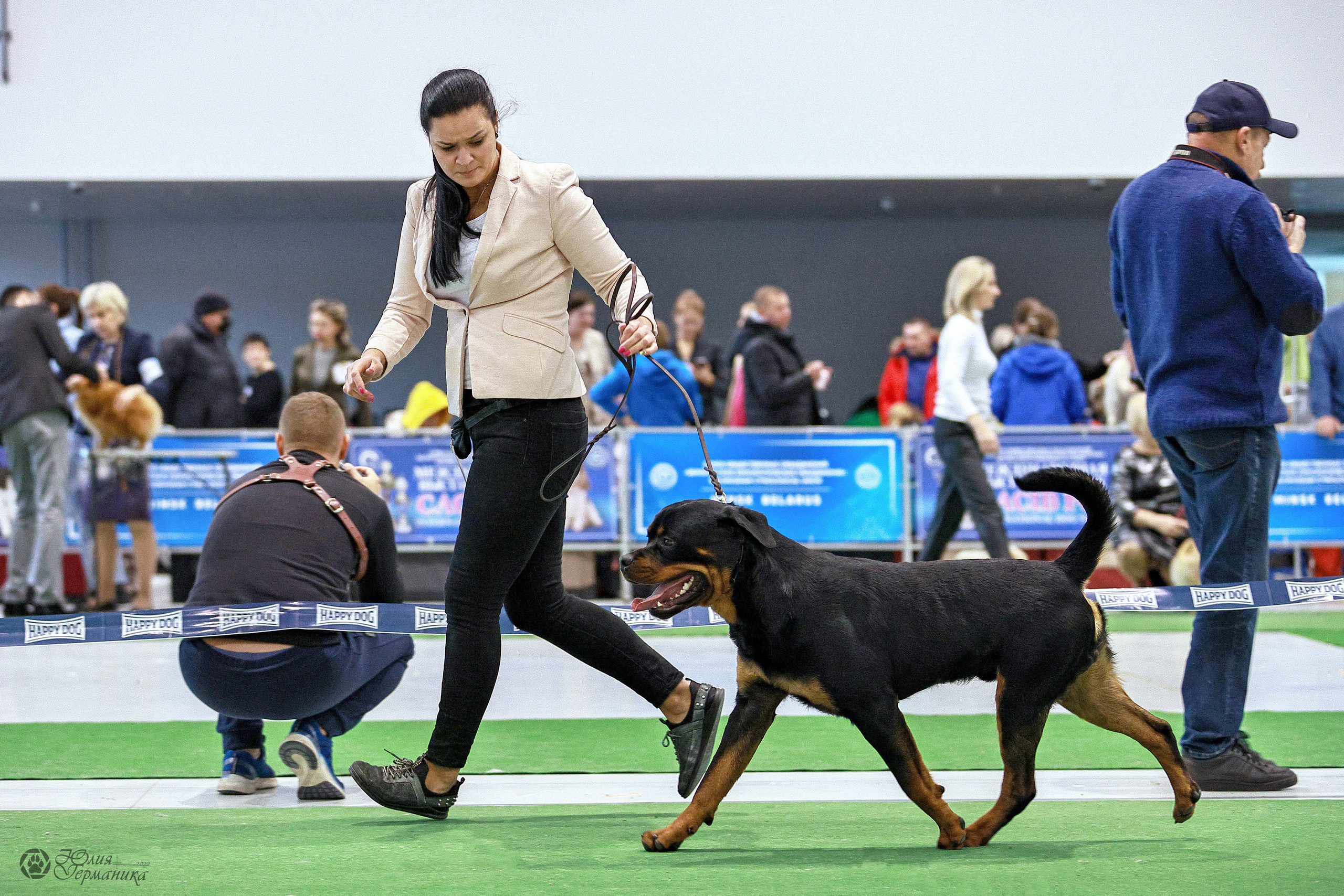 Минск 19-20.11.2022. Фотограф-анималист Юлия Германика