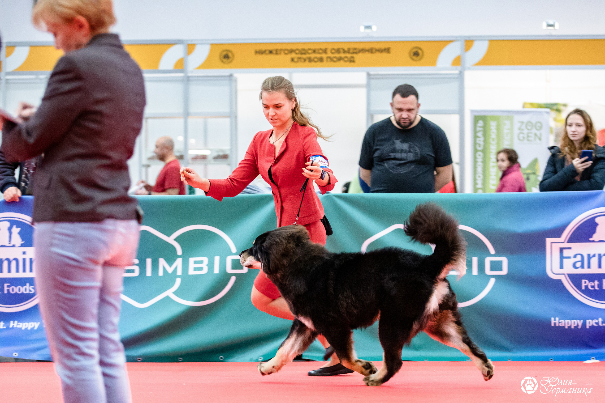 Нижний Новгород 15-16.10.2022. Фотограф-анималист Юлия Германика