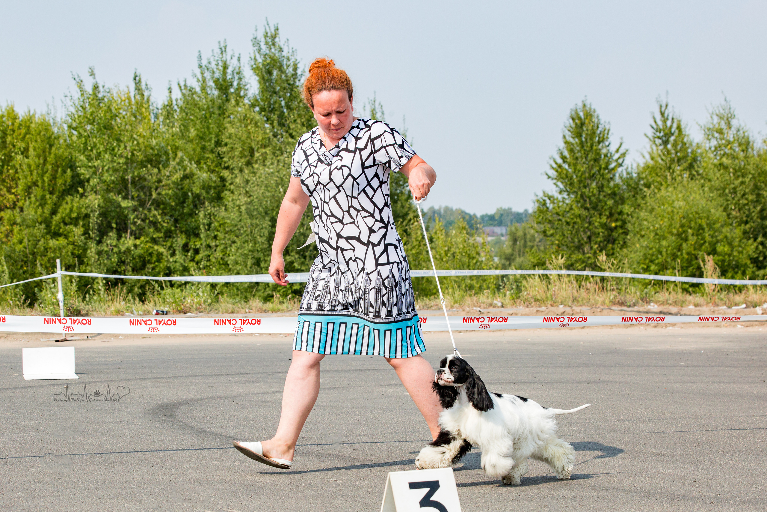 Сокольники 21.08,Сергиев Посад 27-28.08 2022. Фотограф-анималист Юлия Германика