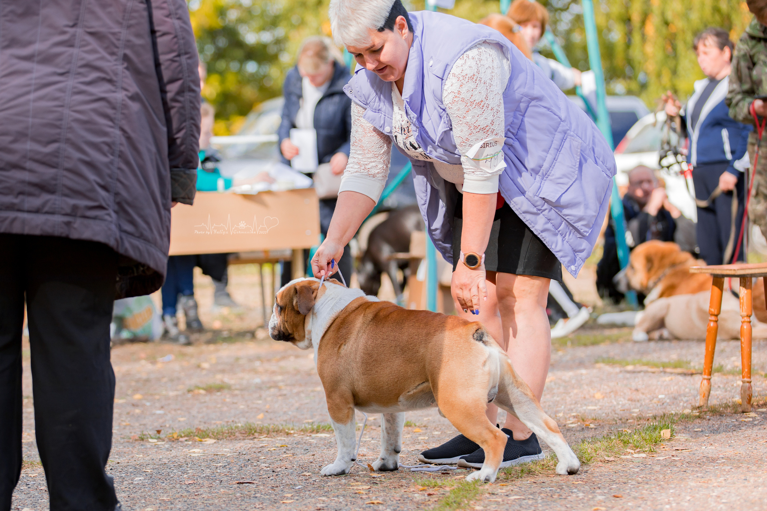 Тверь ЧРКФ 18.09.2022. Фотограф-анималист Юлия Германика
