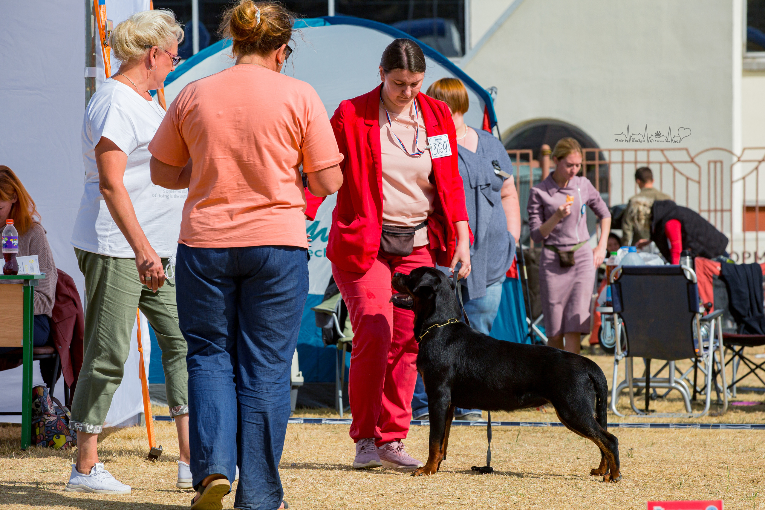 Минск 2хCACIB 3-4.09.2022. Фотограф-анималист Юлия Германика