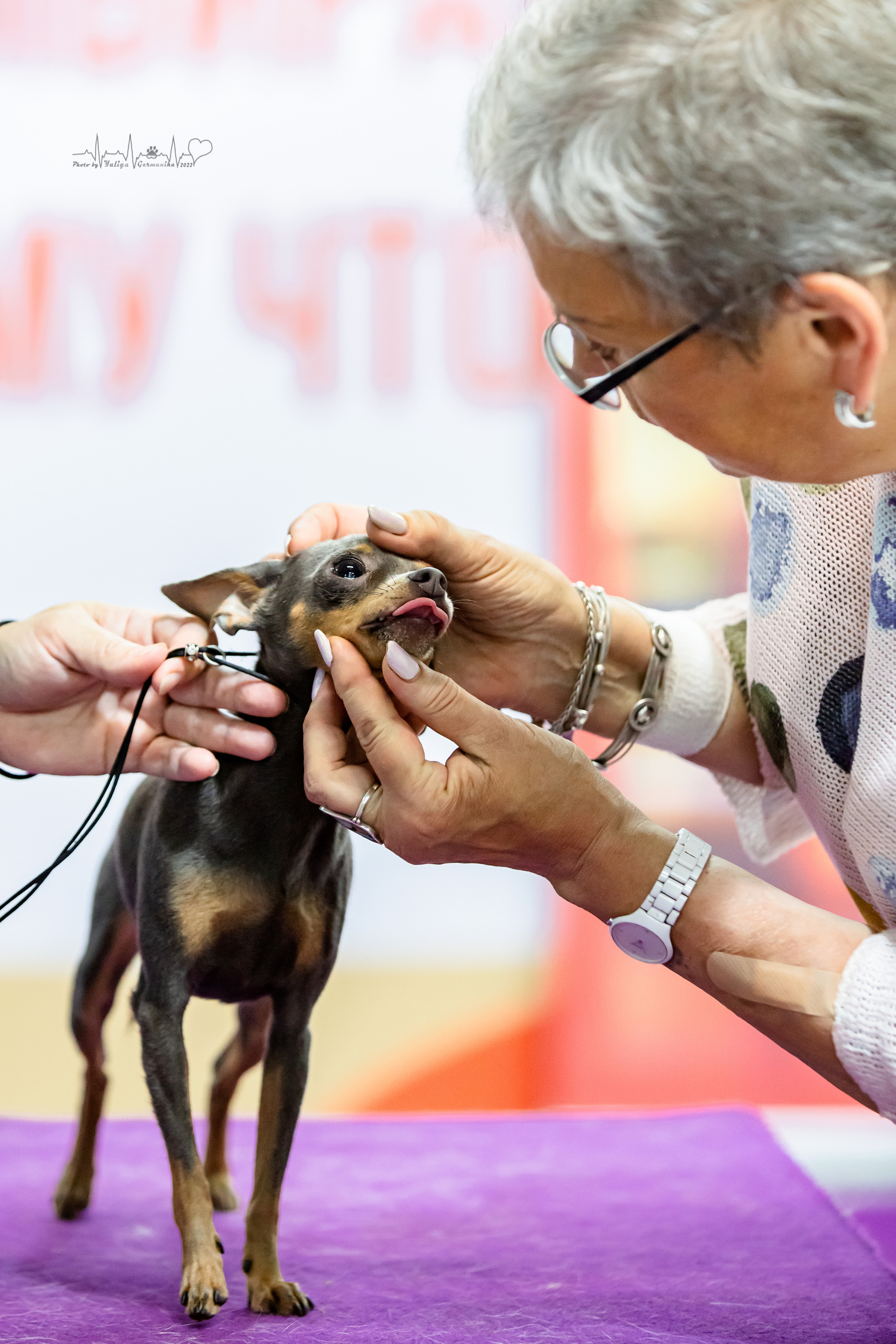 Ховрино 31.07,Чайна-Таун 6.08,Тверь 7.08. Фотограф-анималист Юлия Германика