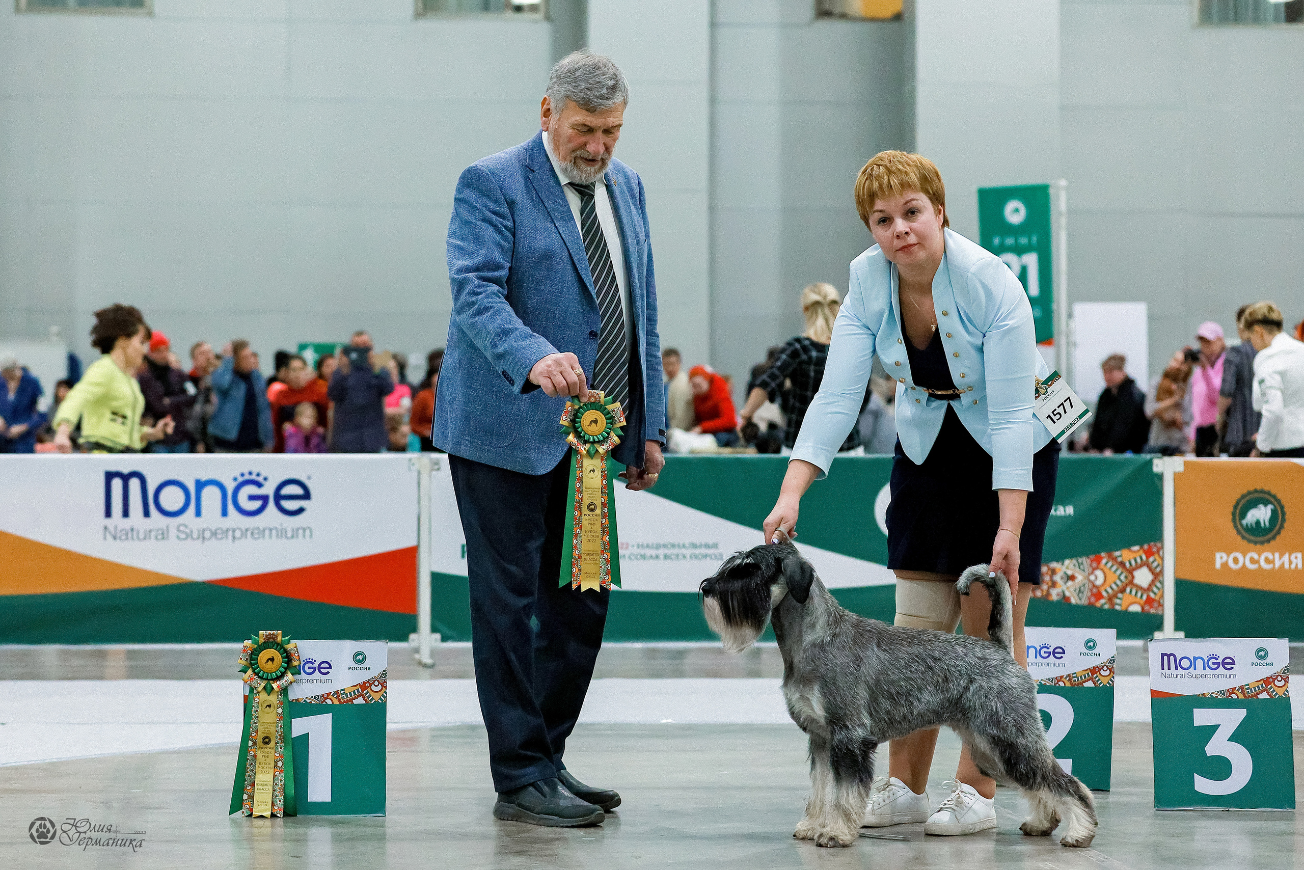 Россия 2020-2022 26-27.11.2022. Фотограф-анималист Юлия Германика