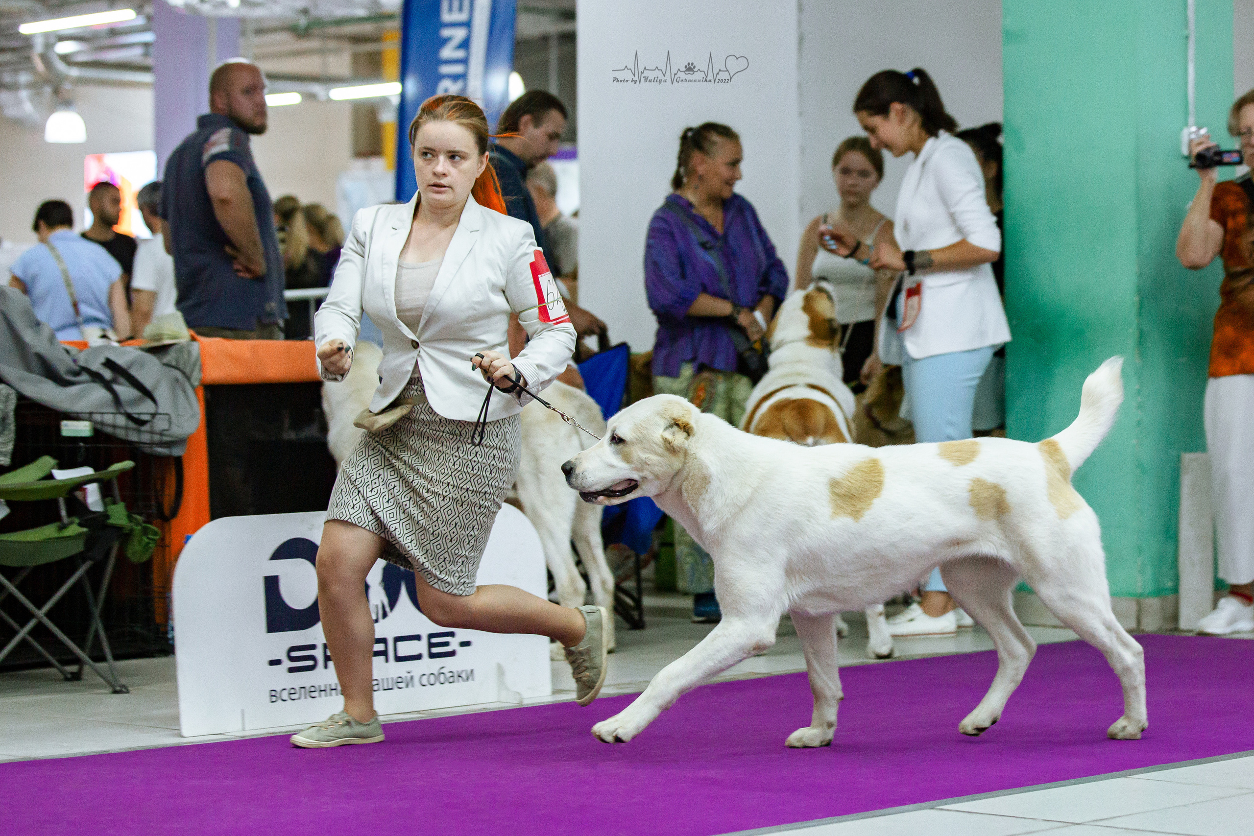 Ховрино 31.07,Чайна-Таун 6.08,Тверь 7.08. Фотограф-анималист Юлия Германика