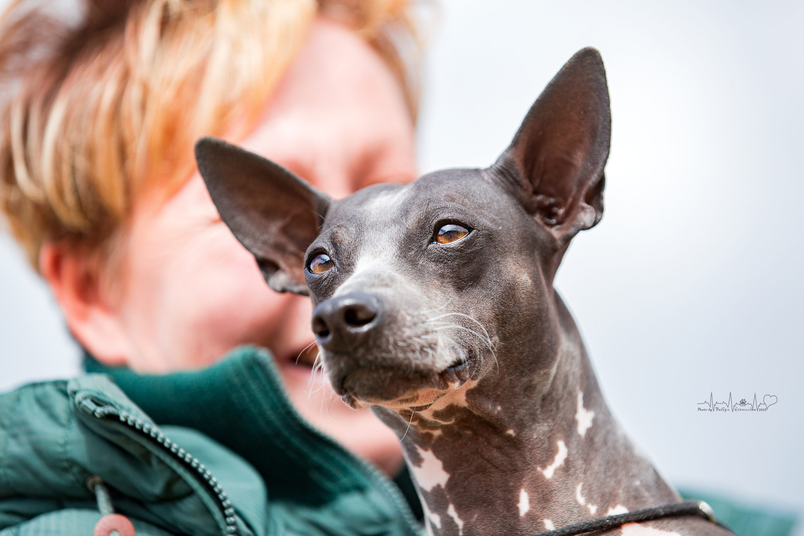 Минск 2хCACIB 3-4.09.2022. Фотограф-анималист Юлия Германика